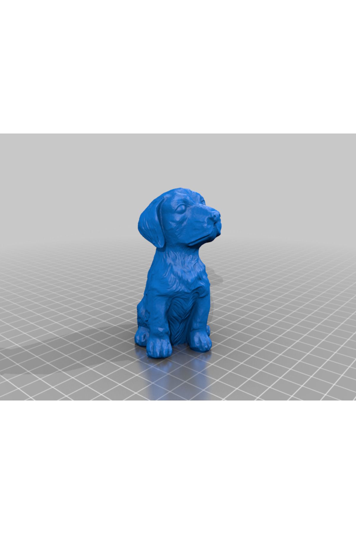 Vision Craft Oturan Köpek - 3D Tarama