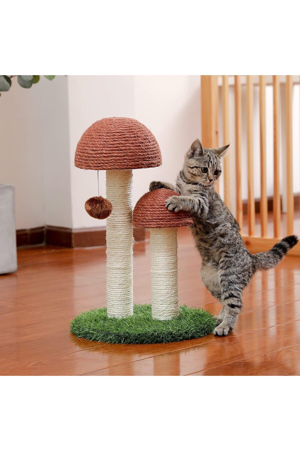 Saharaz-Cat Scratching Post,With Scratching Poles and Interactive Toy Ball for Kittens and Small Cats 6