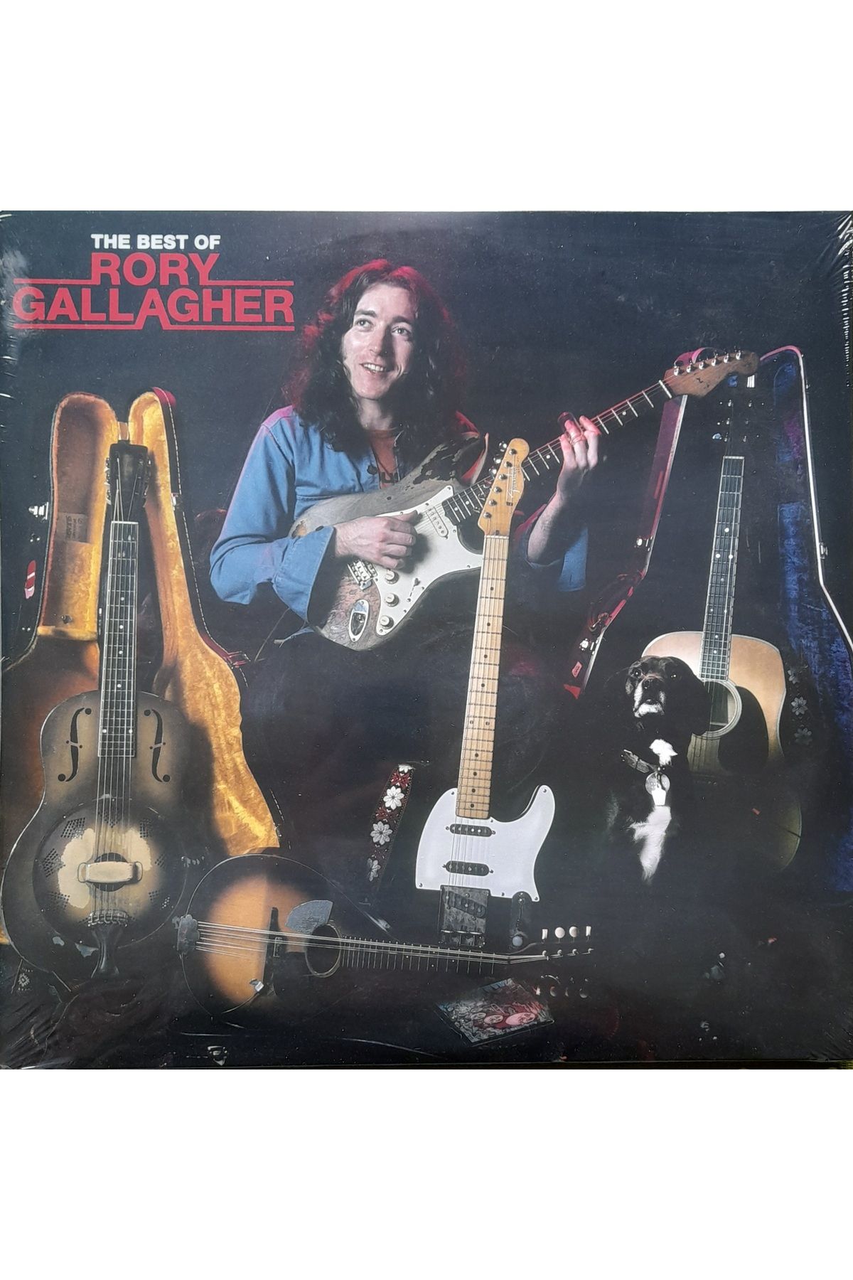 Eskişehir Plak RORY GALLAGHER – The Best Of Rory Gallagher 2LP