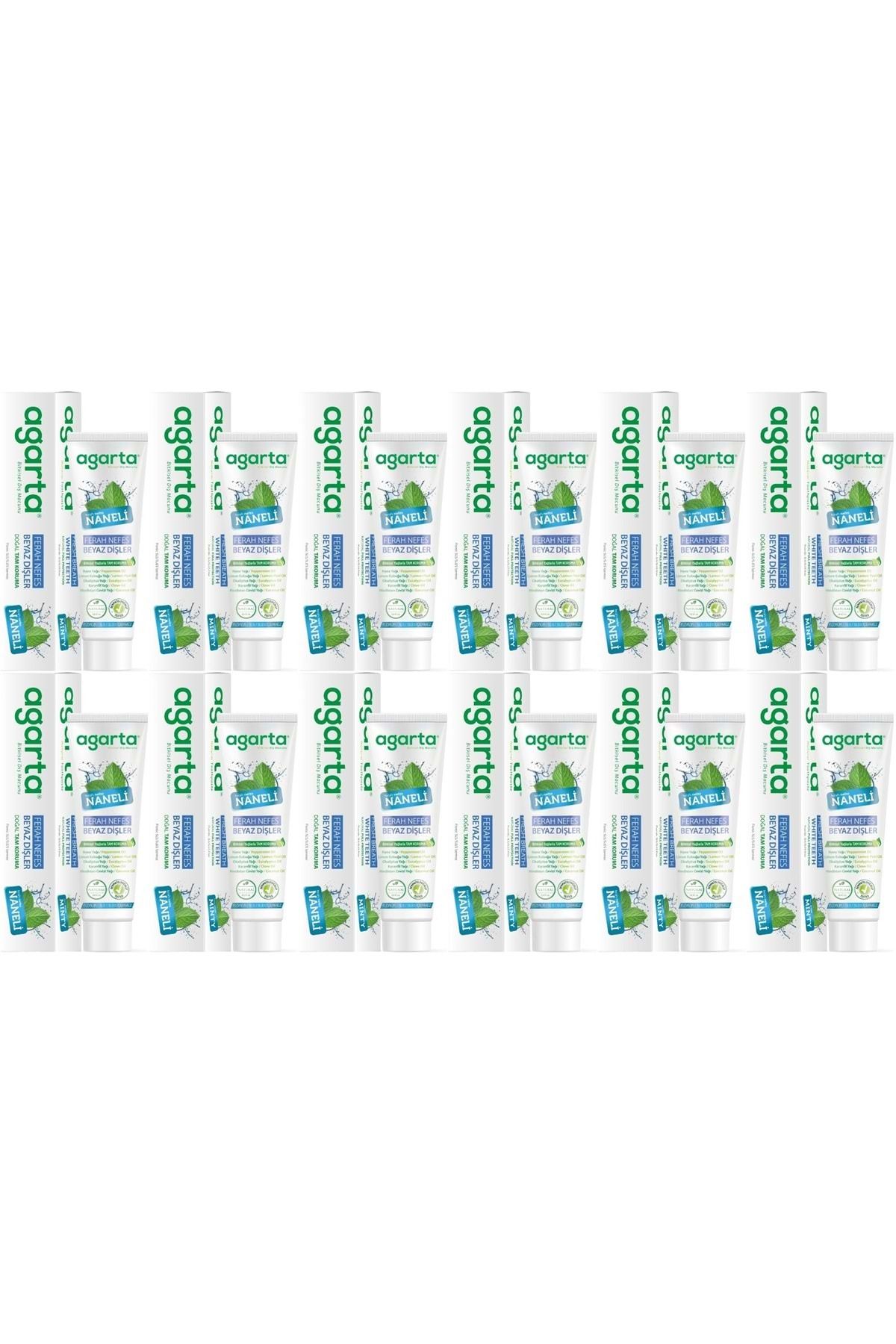 Agarta Doğal Diş Macunu 100ML Naneli (12 Li Set)