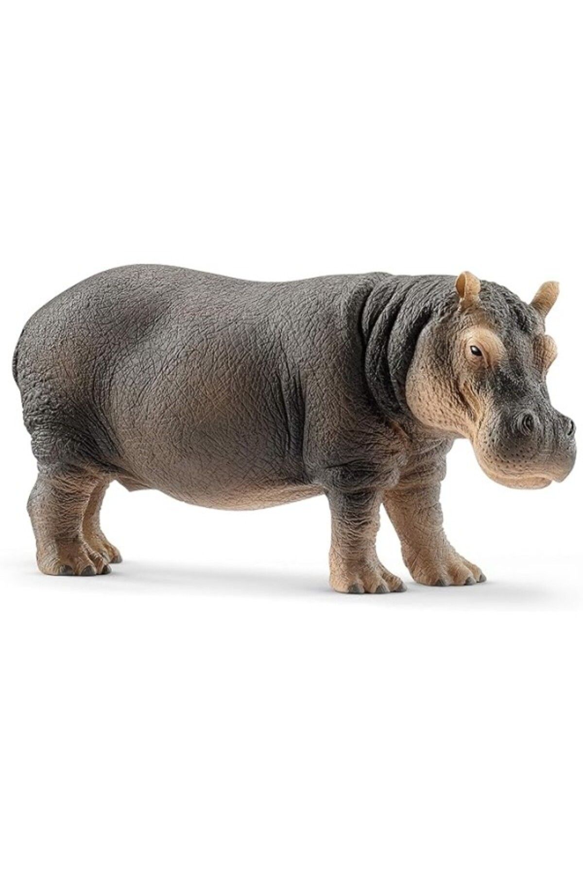 ShopZum Schleich Su Aygırı Oyuncak Figürü