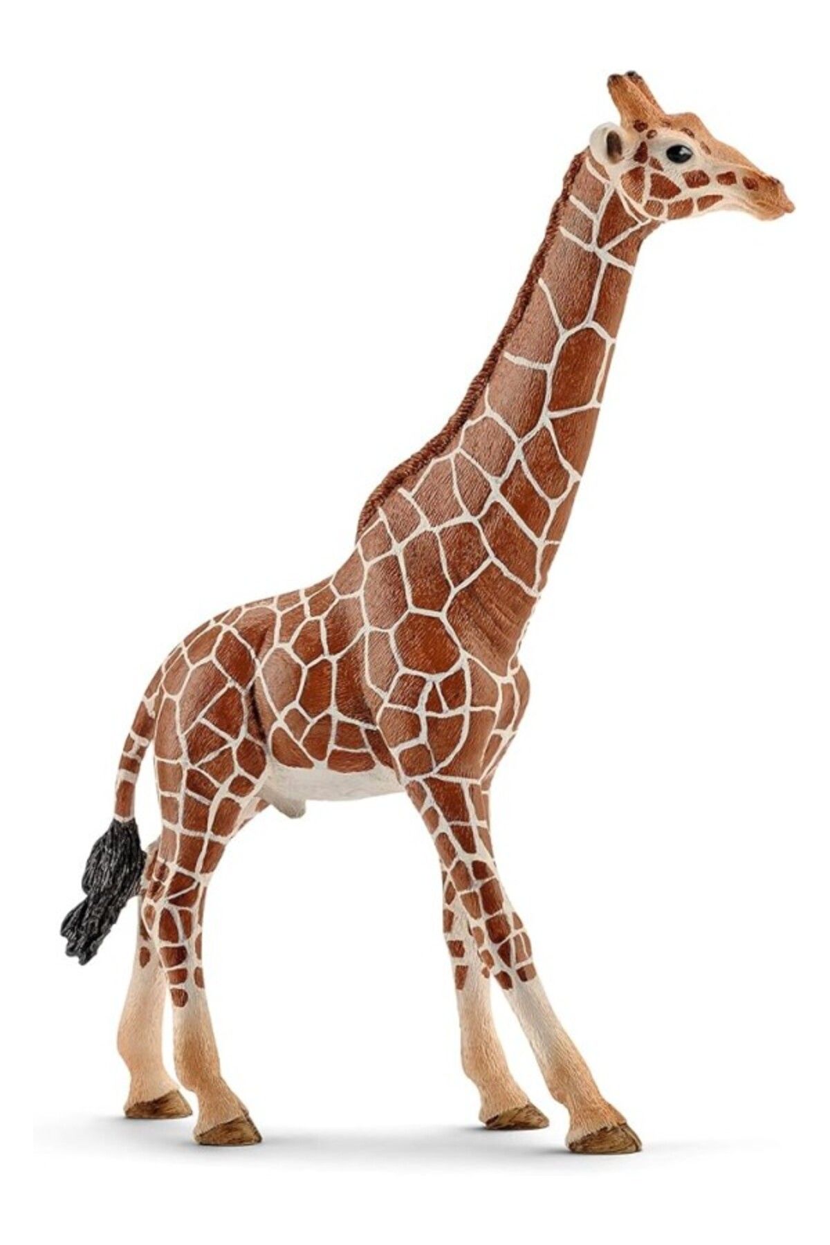 ShopZum Schleich Wild Life Erkek Zürafa
