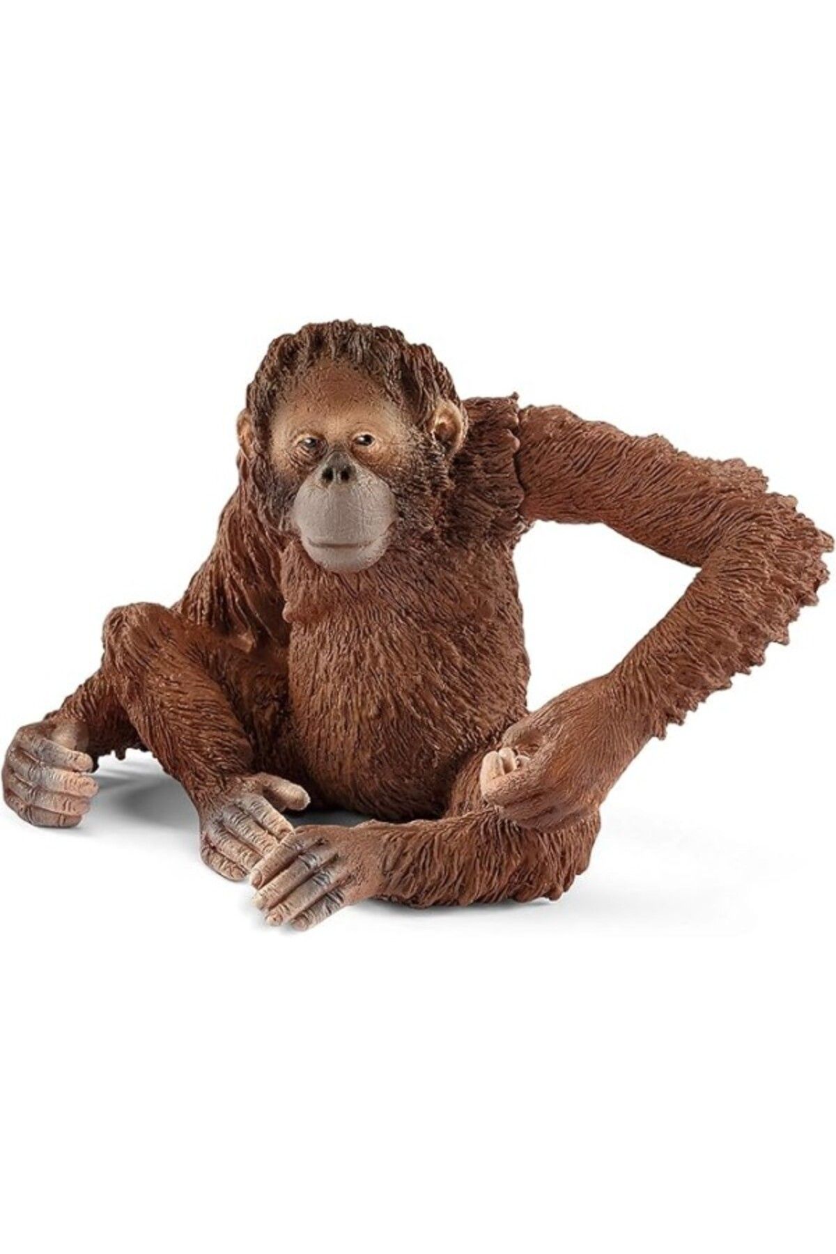 ShopZum Schleich 14775 – Orang-Utan Şekli Figür