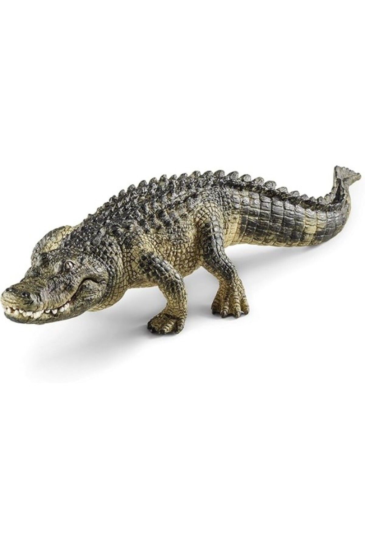ShopZum Schleich 14727 – Alligator, Hayvan Oyun Figürü