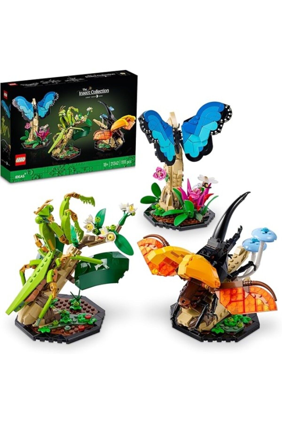 ShopZum Ideas 21342 The Insect Collection