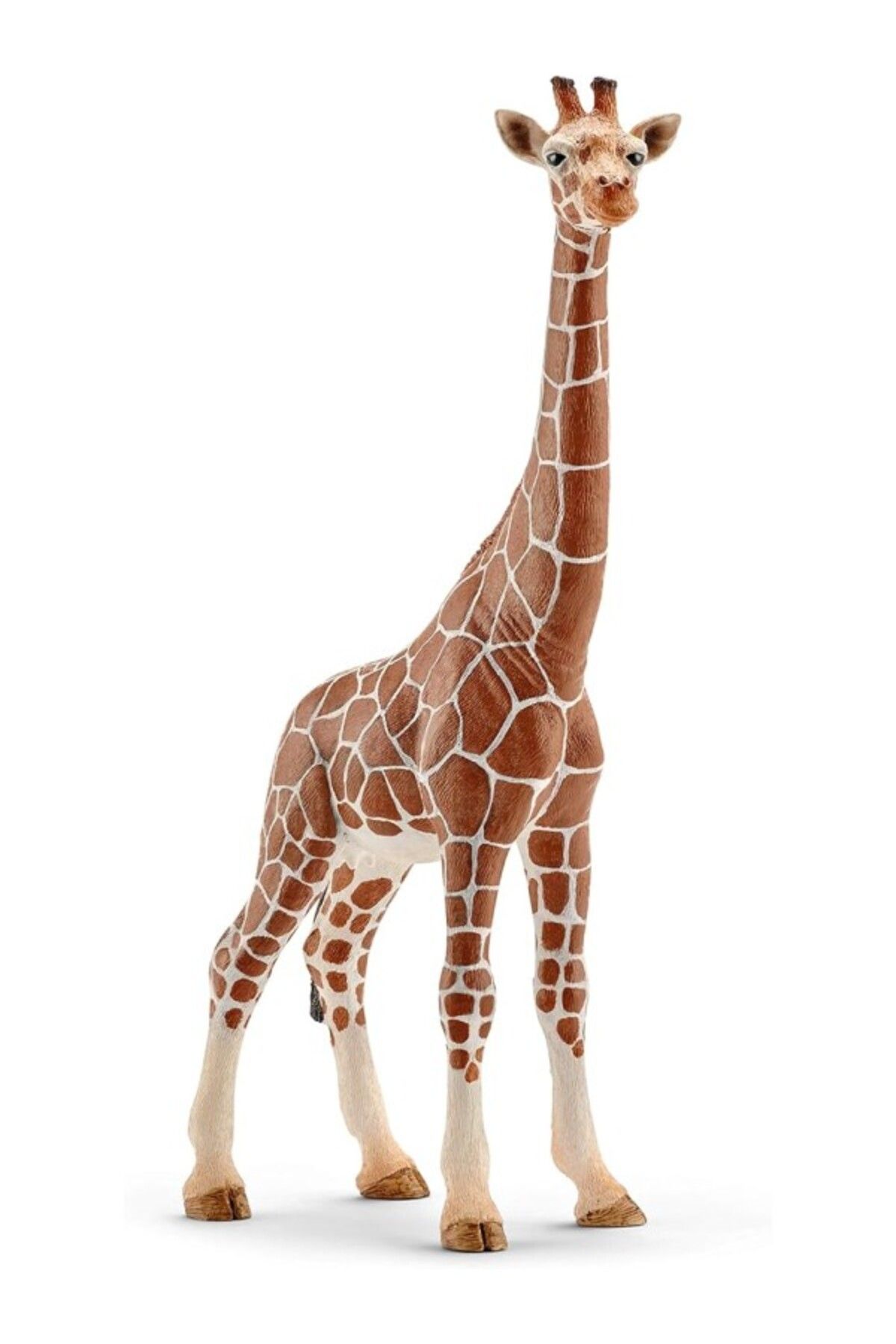 ShopZum Schleich -Wild Life-Dişi Zürafa