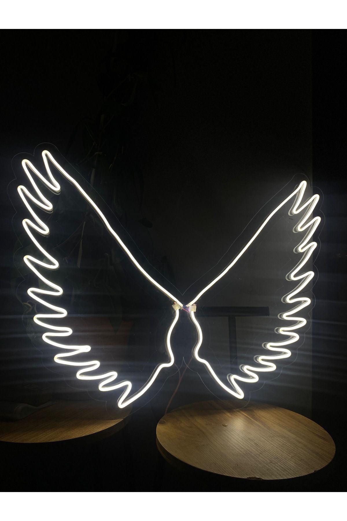 Magnetfoto Kanat model Neon led 55x80 cm