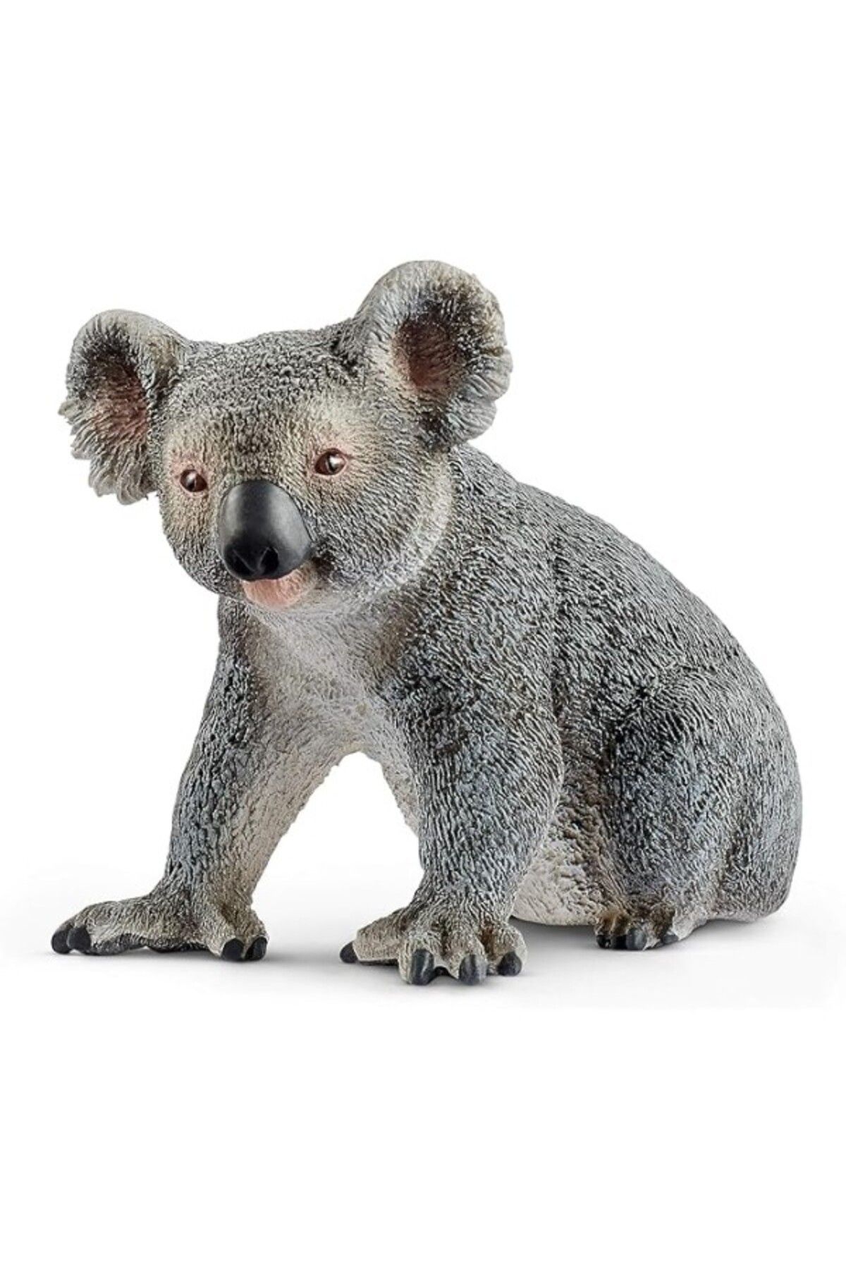 ShopZum Schleich 14815 Koala Oyuncak Figürü, Çok Renkli