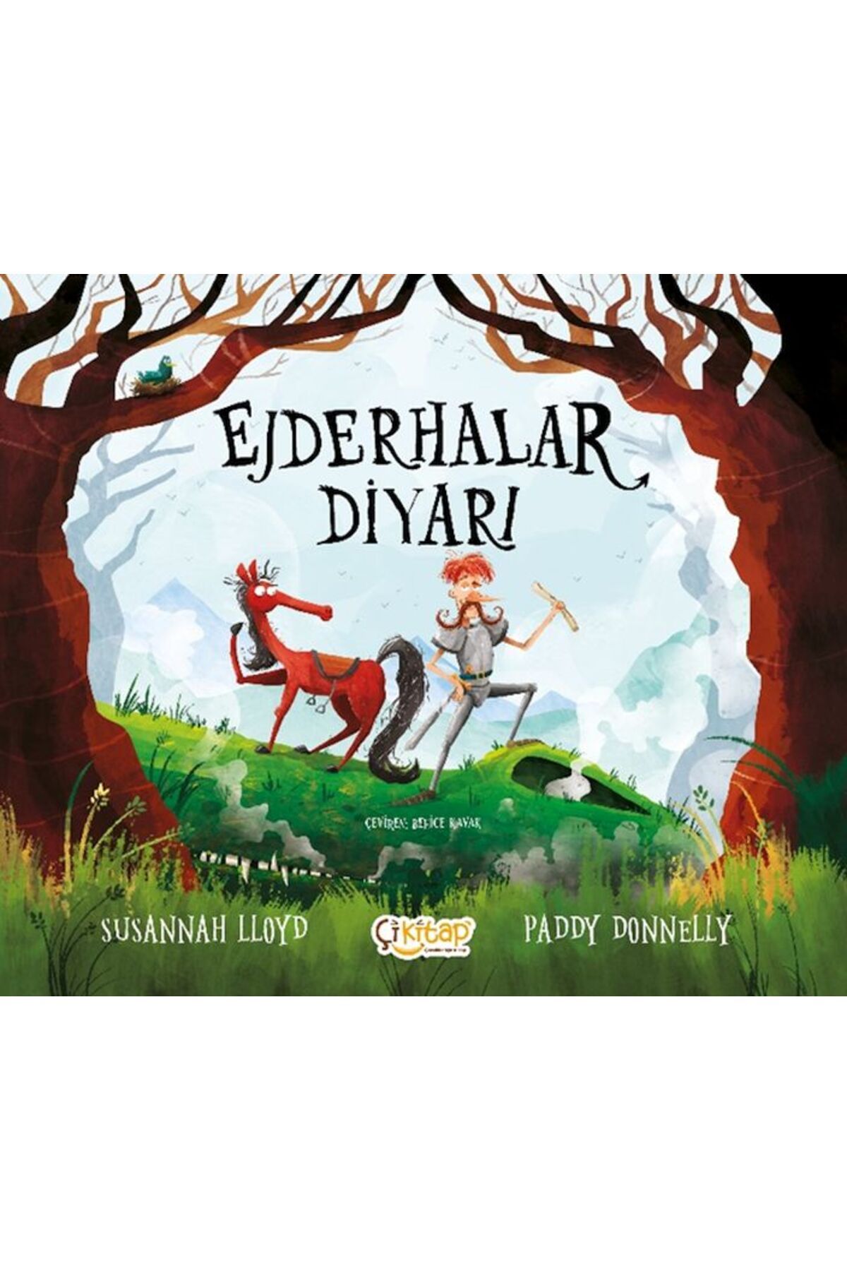 Destek Yayınları Ejderhalar Diyarı