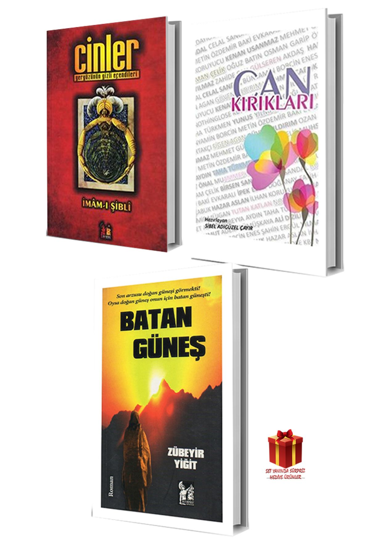 Altınpost Yayınları İmam-ı Şibli Cinler Sibel Adıgüzel Çayır Can Kırıkları Zübeyr Yiğit Batan Güneş
