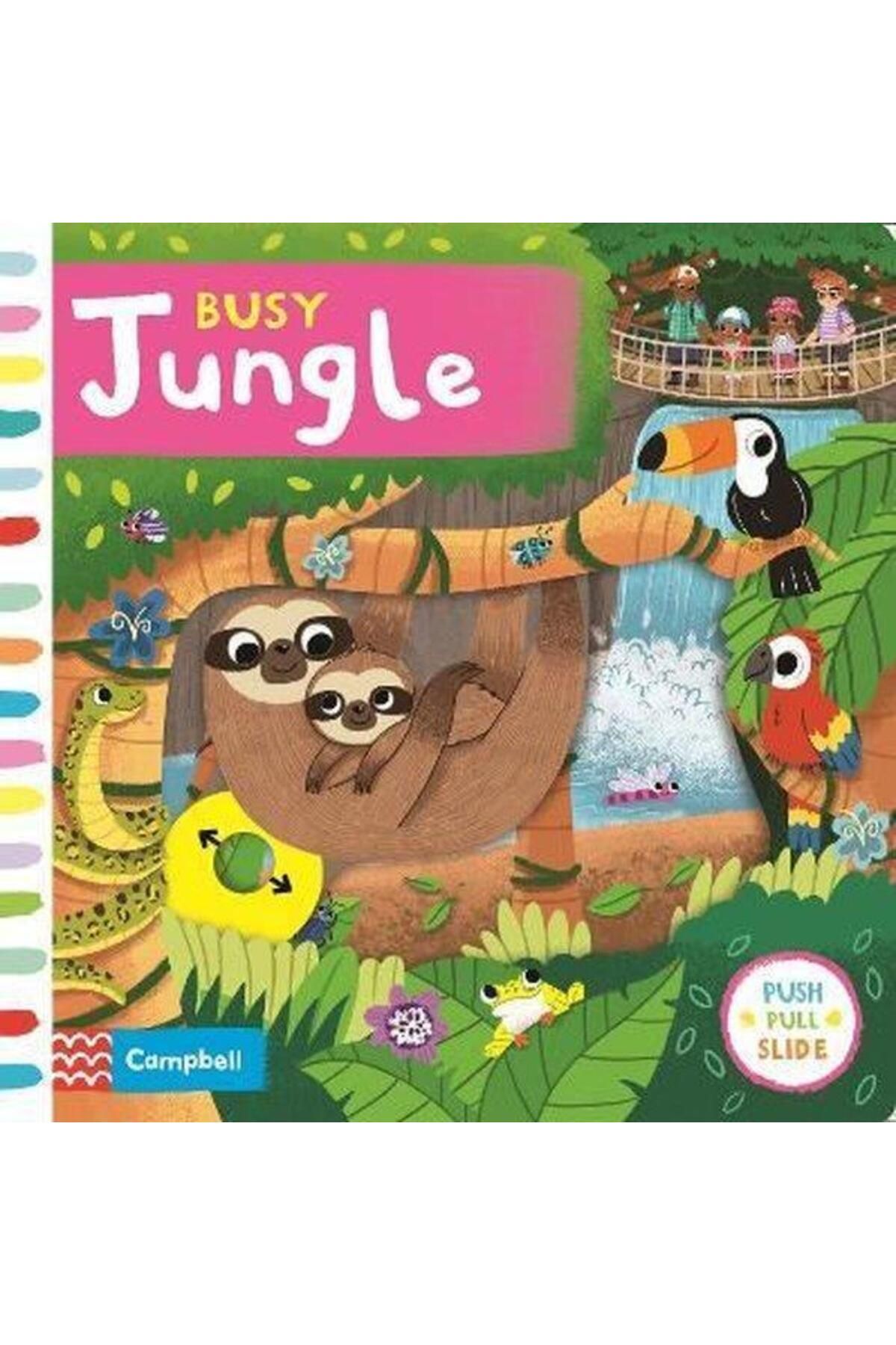 Campbell Books Busy Jungle (Ciltli)