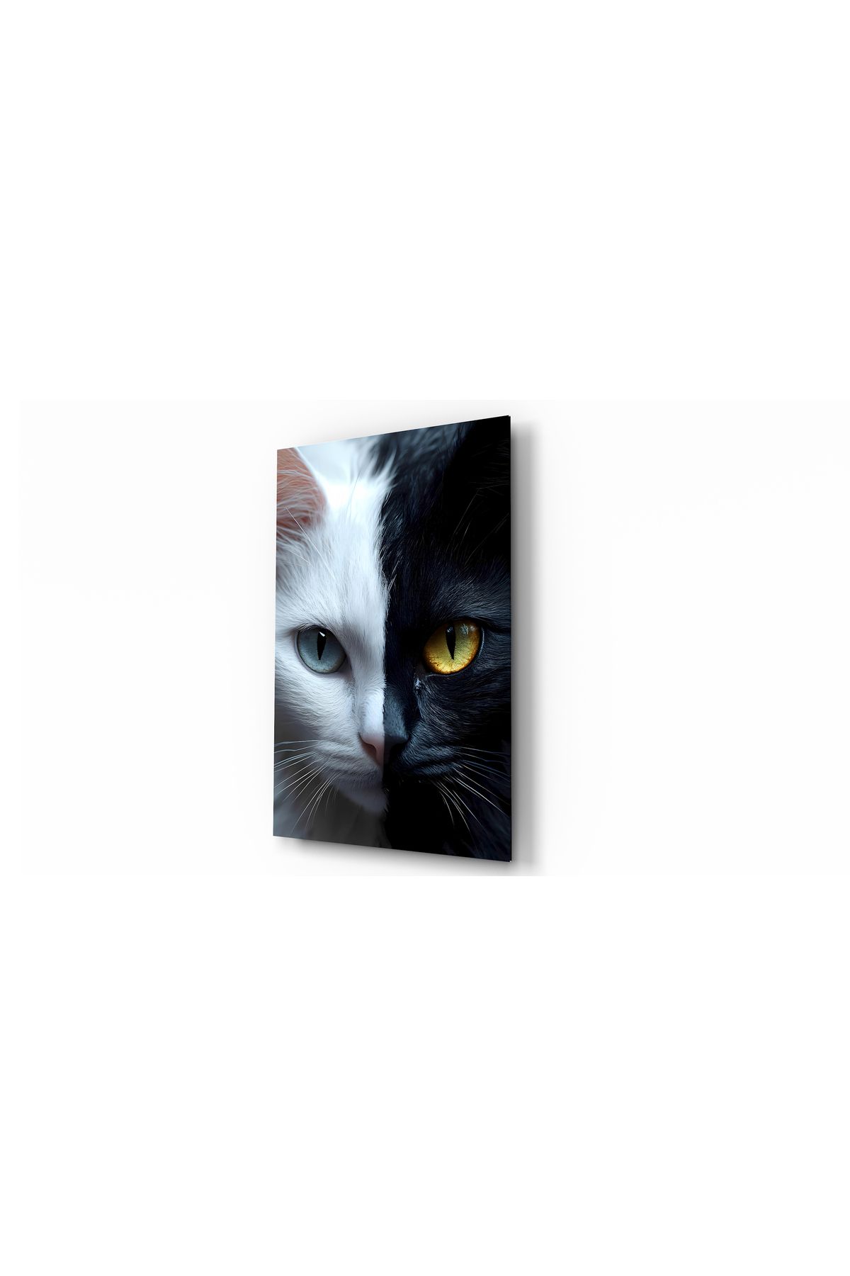 Evlika Kedi Siyah-Beyaz Hayvan Temalı Dekoratif Cam Tablo, Duvar Dekoru H0023