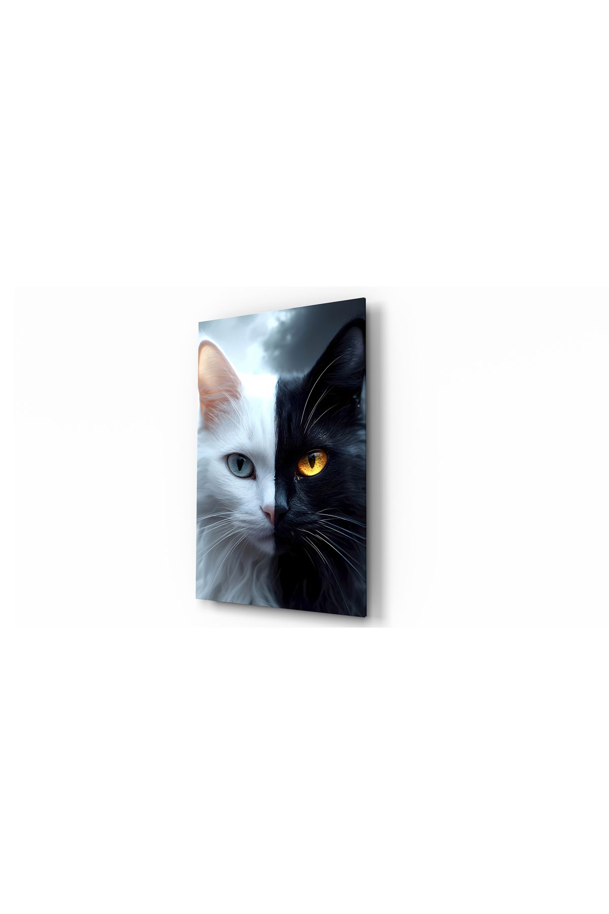 Evlika Kedi Siyah-Beyaz Hayvan Temalı Dekoratif Cam Tablo, Duvar Dekoru H0022