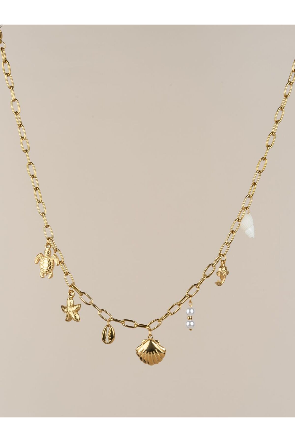 Portakal Esintisi Oceana Deniz Kabuğu Kaplumbağa Charm Choker Çelik Kolye