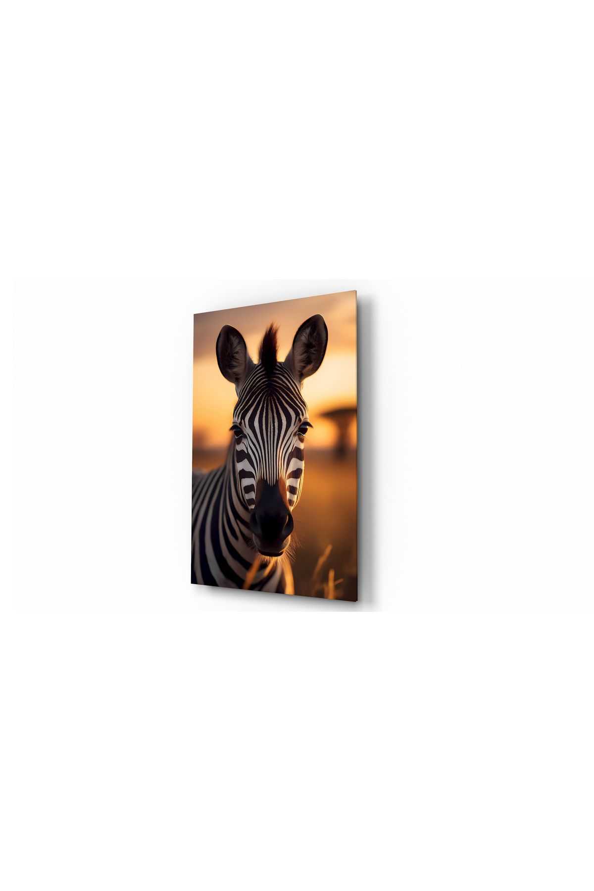 Evlika Zebra Hayvan Temalı Dekoratif Cam Tablo, Duvar Dekoru H0051