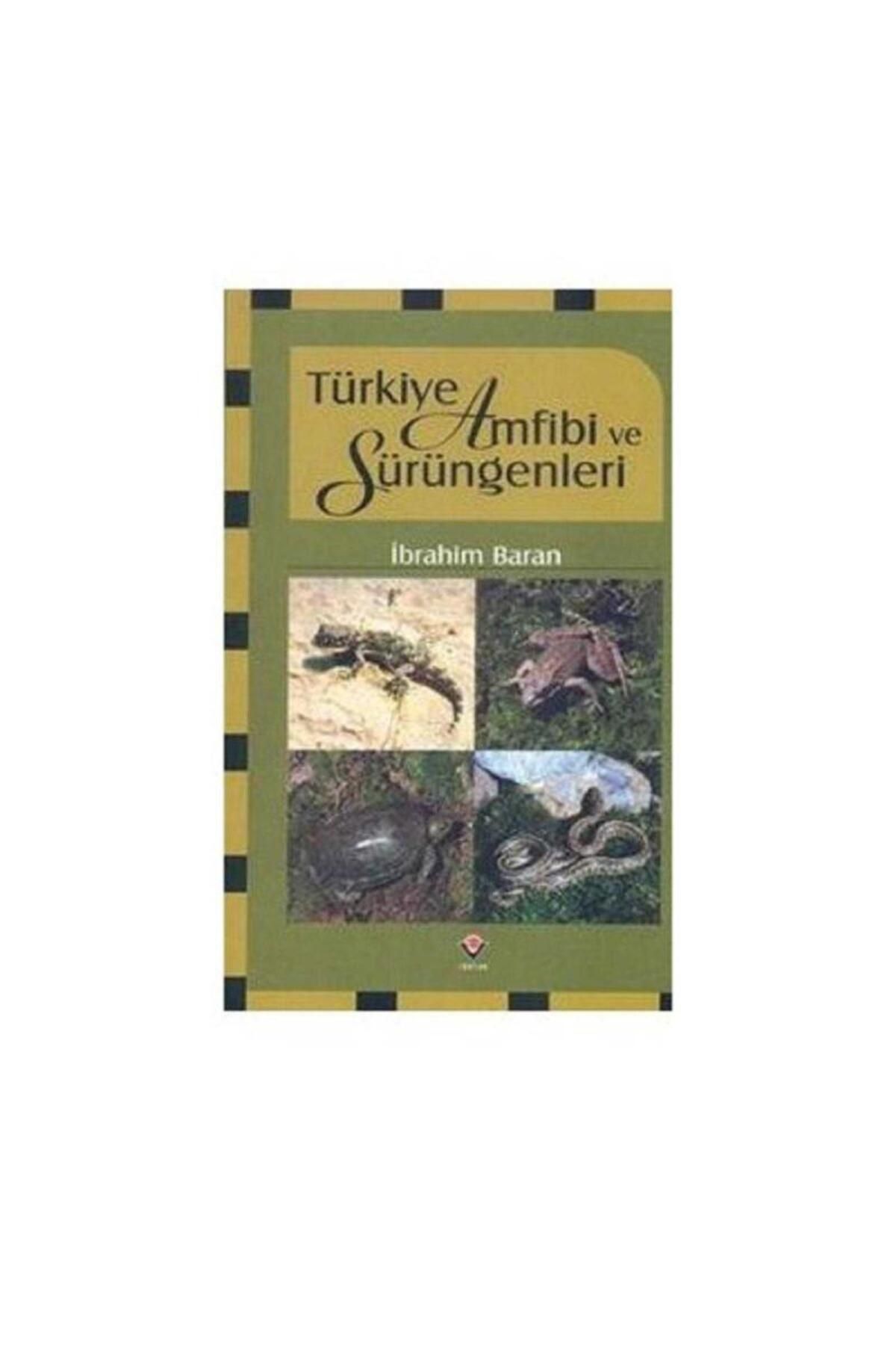 Türk Dil Kurumu Yayınları Türkiye Amfibi ve Sürüngenleri - İbrahim Baran (1.Baskı)