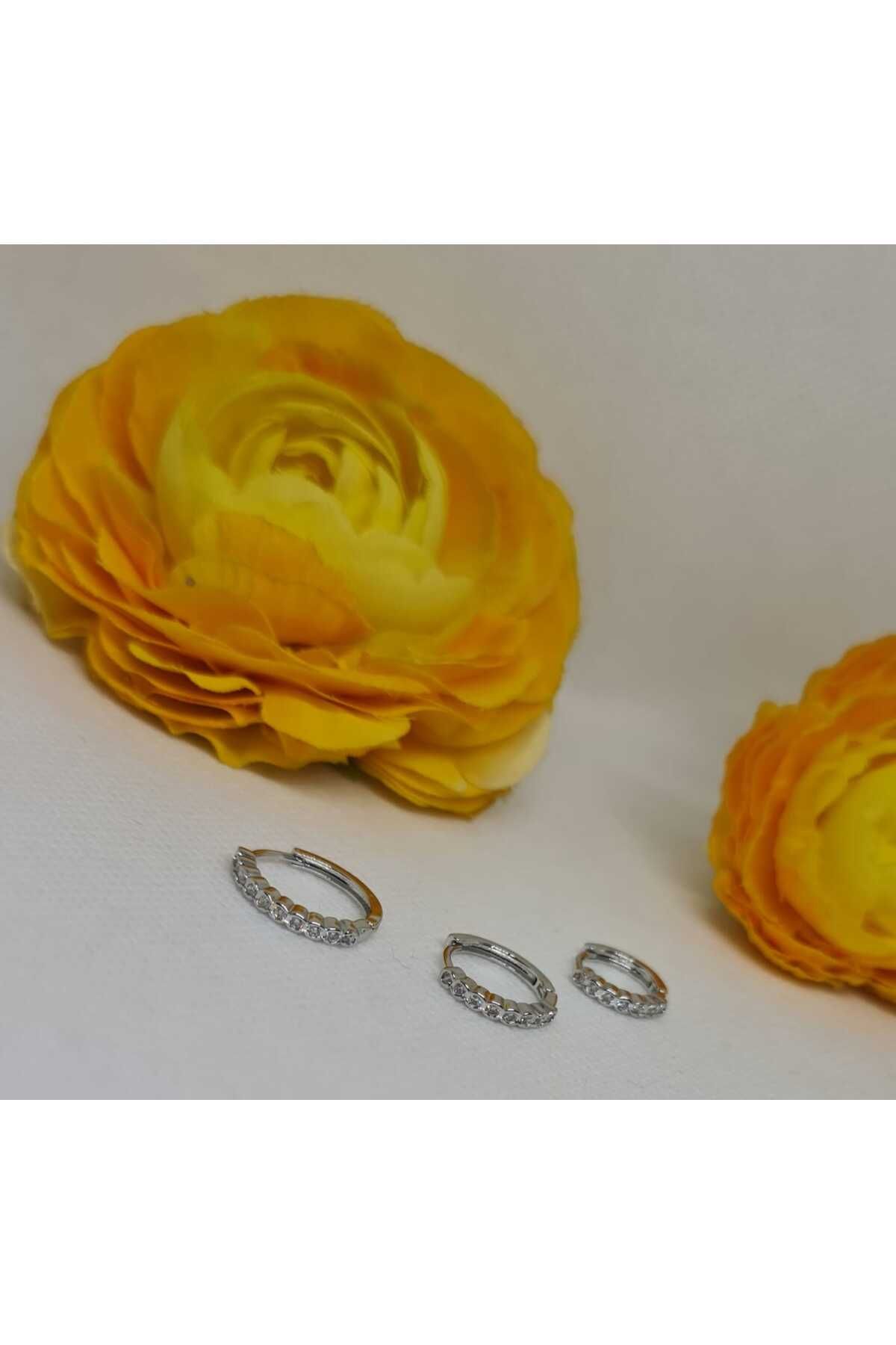 Store 316L Zirkon Taşlı Paslanmaz Çelik Gümüş Kaplı Küpe
