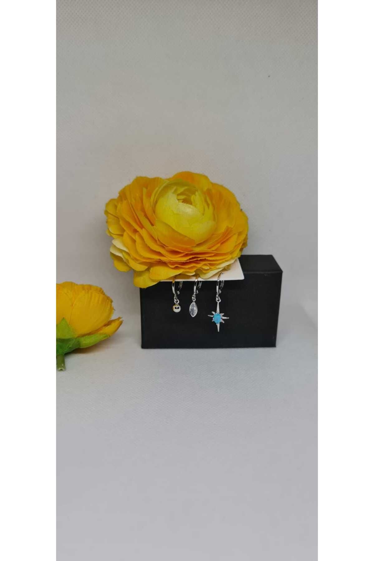 Store 316L Zirkon Taşlı Yıldız Temalı Paslanmaz Çelik Gümüş Kaplı Küpe
