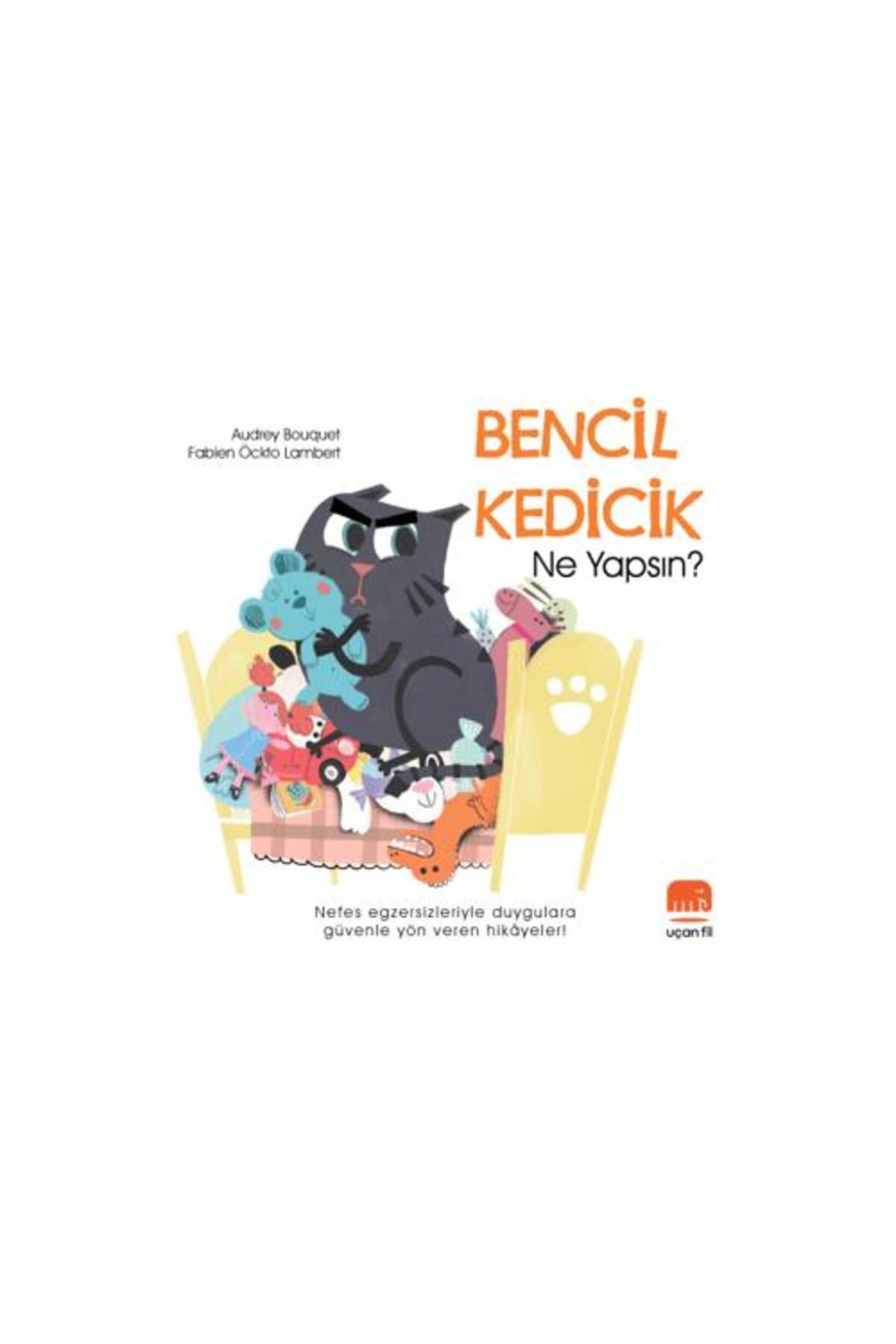 Uçan Fil Yayınları Bencil Kedicik Ne Yapsın?