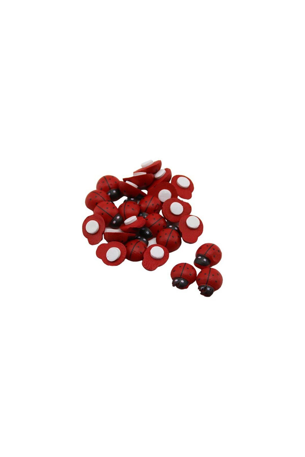 Zayla MİNİ AHŞAP UĞUR BÖCEK YAPIŞKANLI 24PCS ± 2AD (5165)