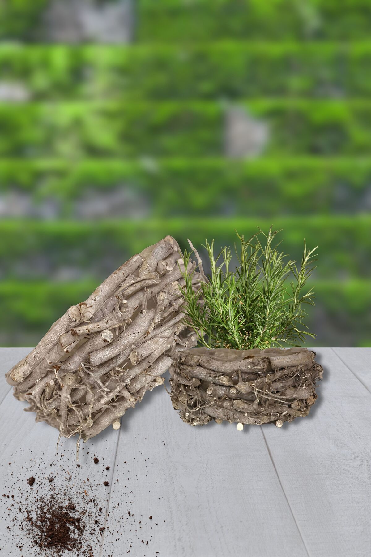 EL İŞİ DİY CRAFT Ağaç Dallarından Örülmüş 2li Dekoratif Kahverengi Saksı, Ev,Balkon,Bahçe, Ofis Dekorasyonu, Bohem