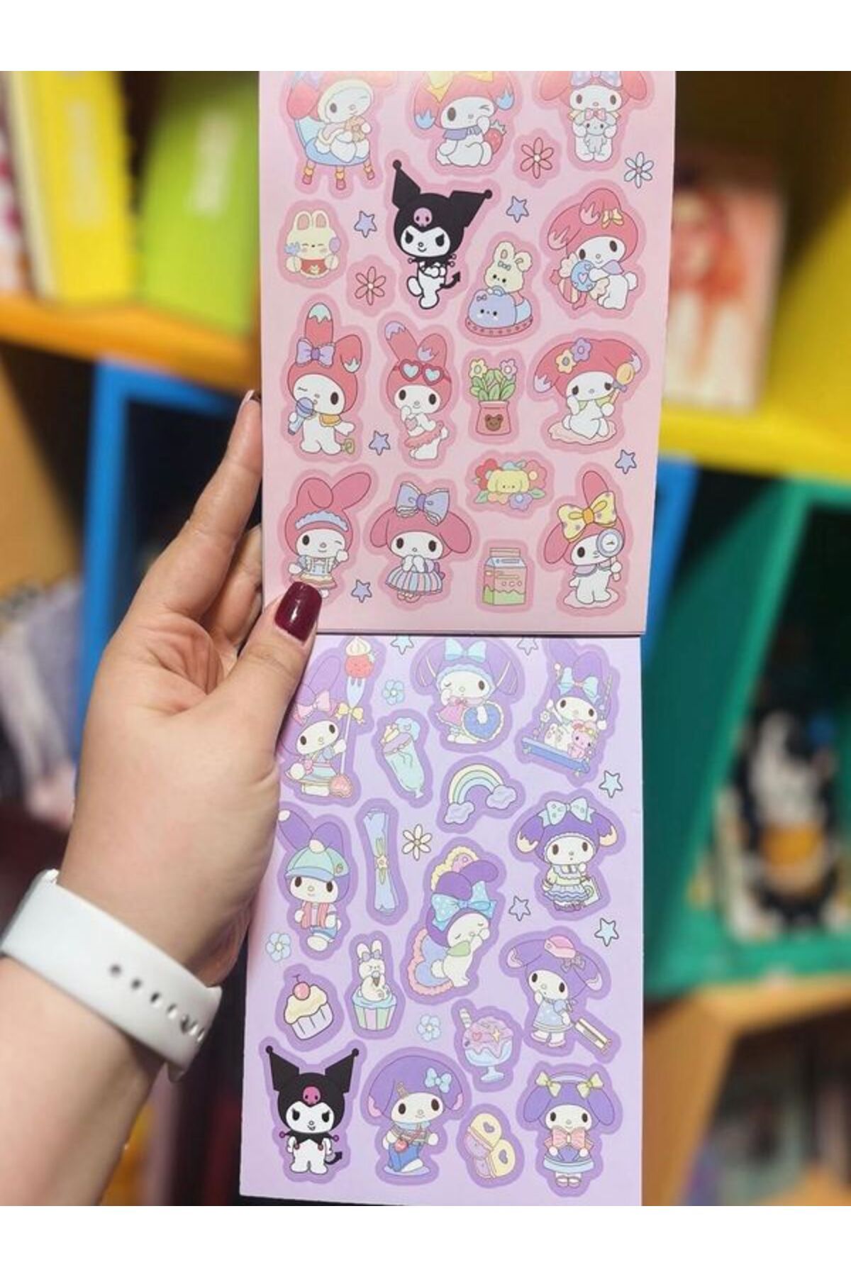 EyER Shoping Sanrio 6 Sayfa Sticker Kiitapçığı Pembe
