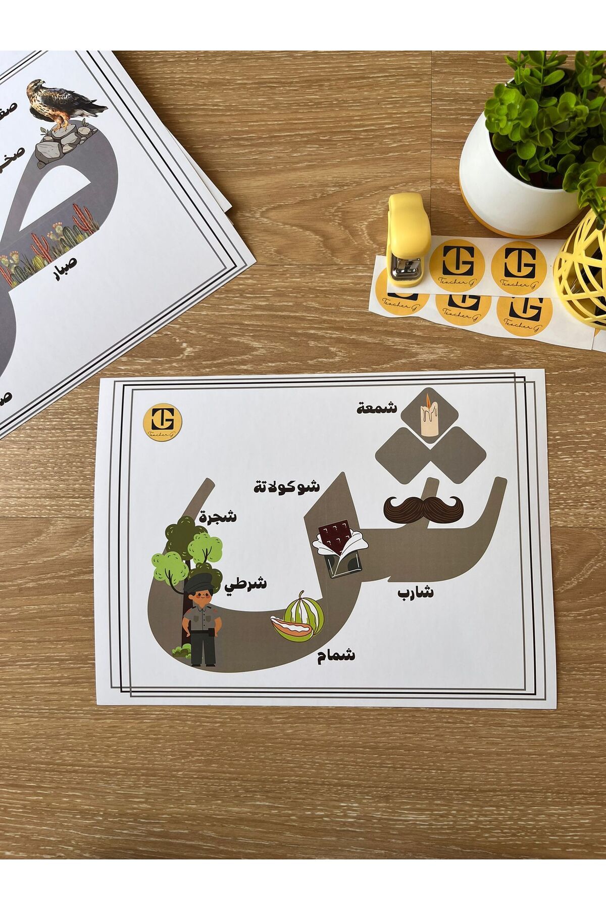 Teacherg game Şîn Harfi – Görselli Arapça Eğitim Posteri – (Kelime ve Görsel) (16,5x24cm) 1 adet