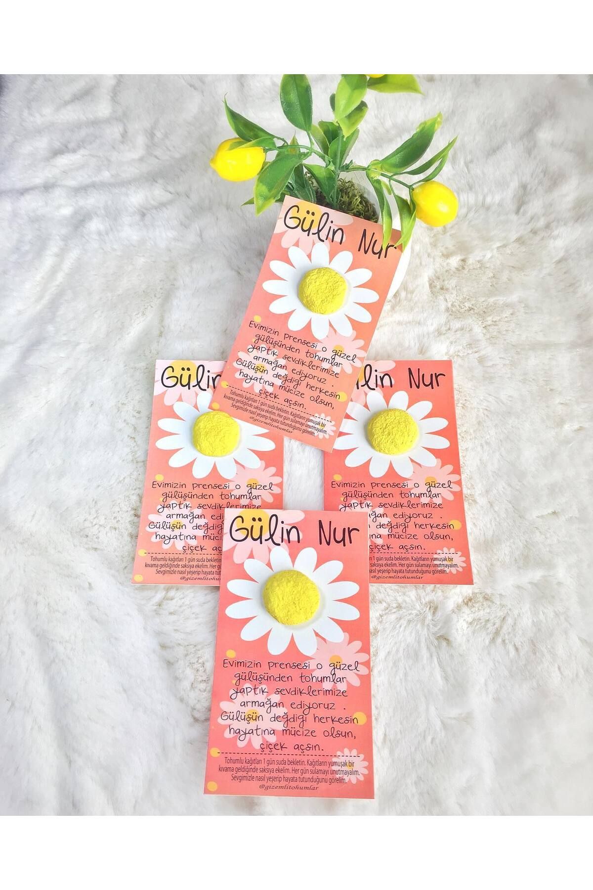 gizemlitohumlar Tohumlu Kart 50 Adet Doğum günü ,Baby Shower,Hediyelik 8X14 CM