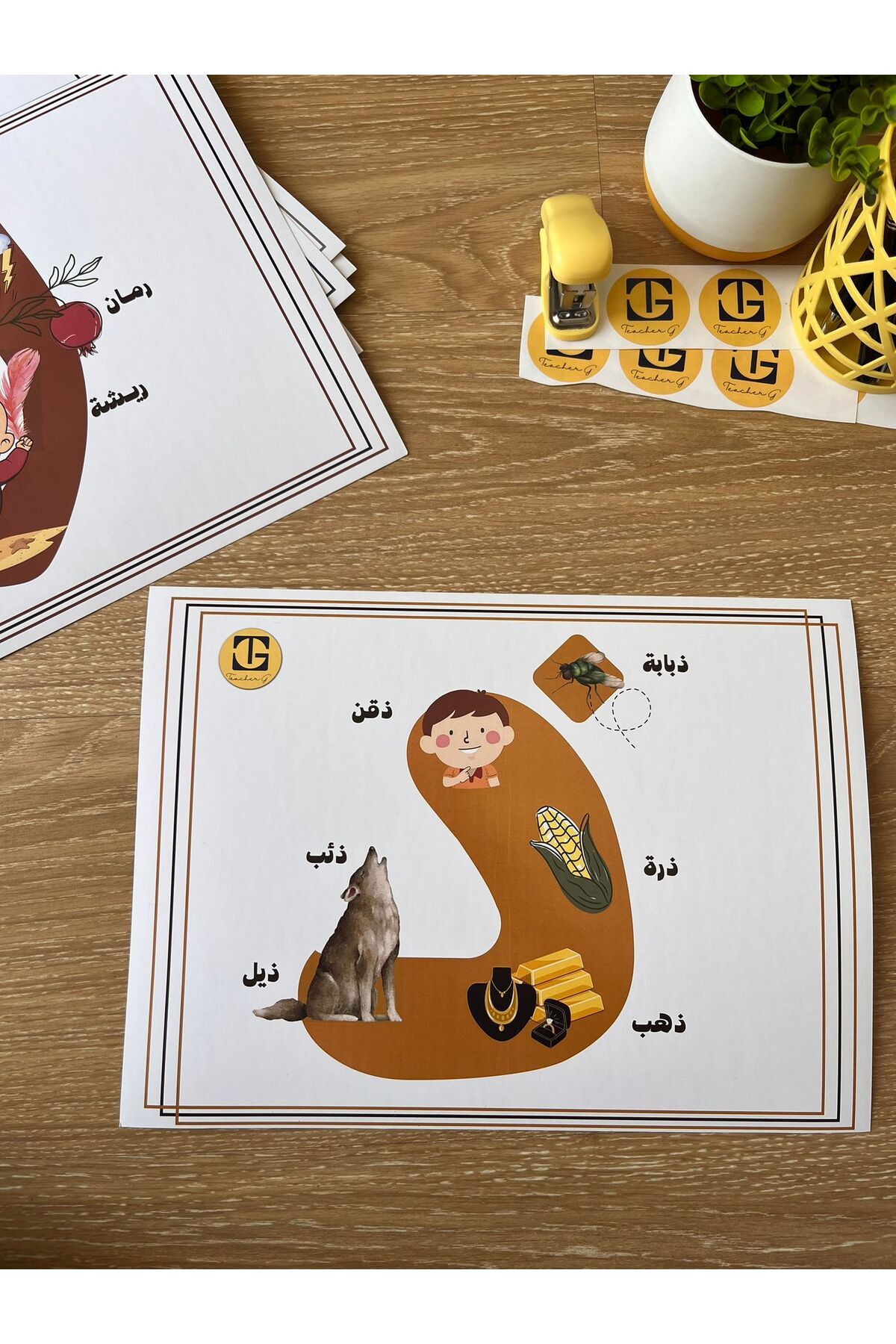 Teacherg game Dhâl Harfi – Görselli Arapça Eğitim Posteri – (Kelime ve Görsel) (16,5x24cm) 1 adet