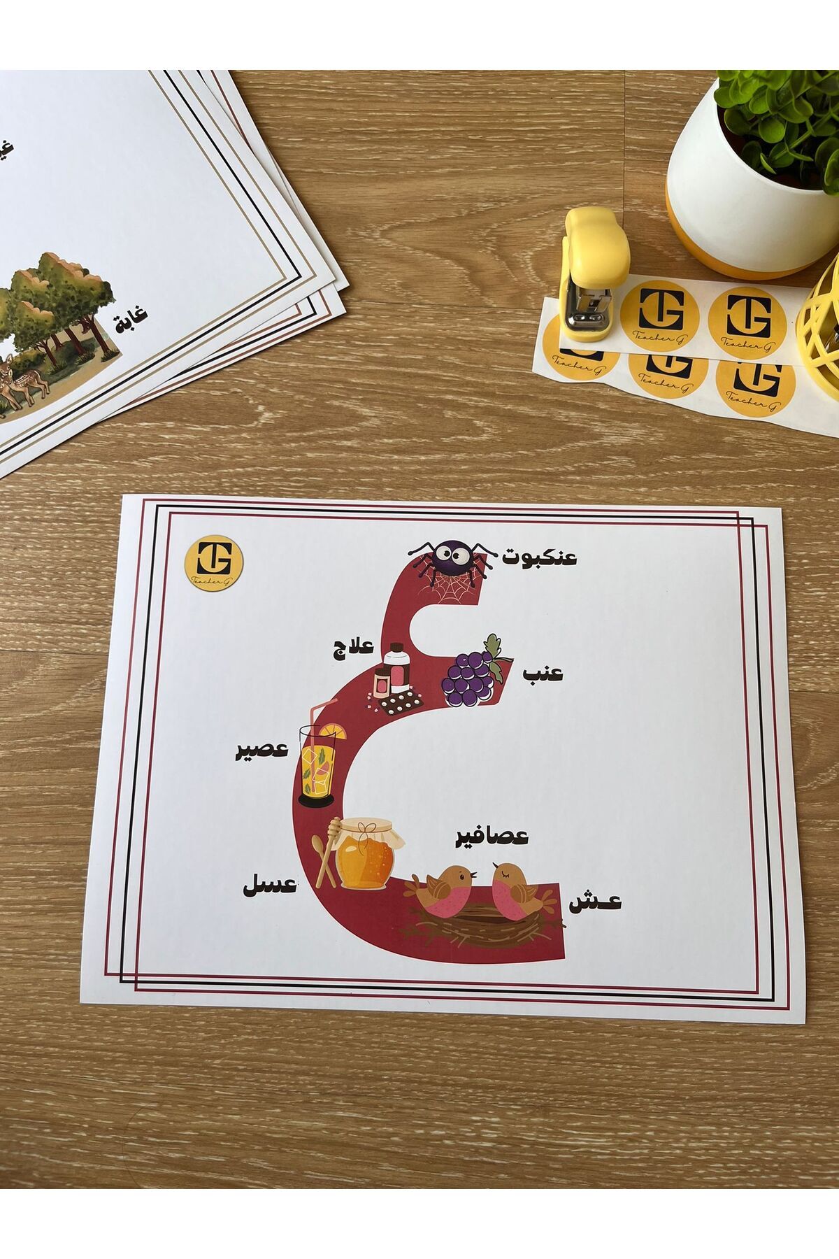Teacherg game Ayn Harfi – Görselli Arapça Eğitim Posteri – (Kelime ve Görsel) (16,5x24cm) 1 adet