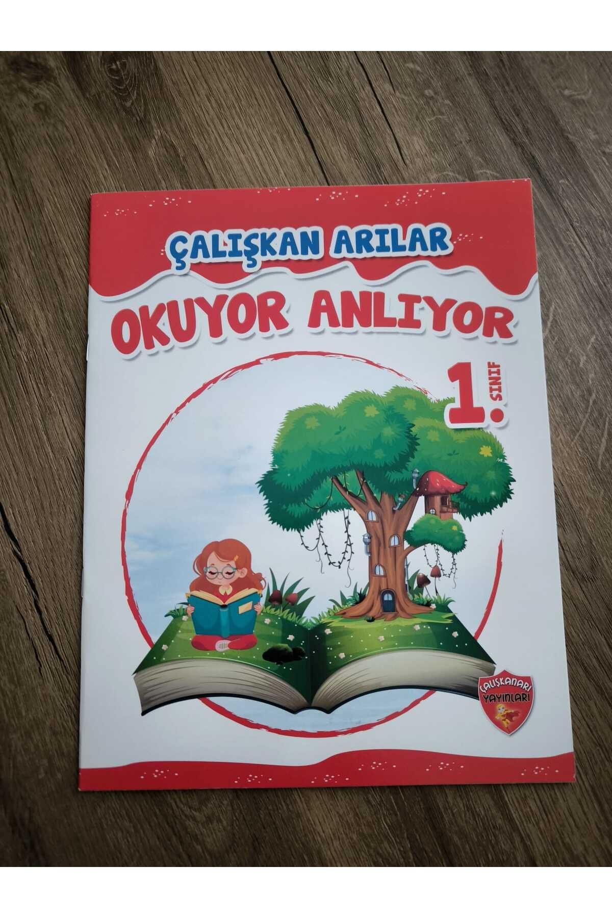 Çalışkan Arı Yayınları Çalışkan Arı Yayınları 2025 1.Sınıf Yaz Tatili Seti