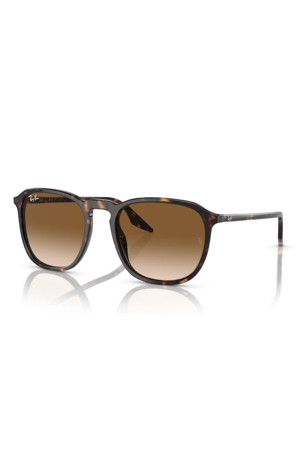 Ray-Ban Rayban Güneş Gözlüğü 0RB2203 902/51 52