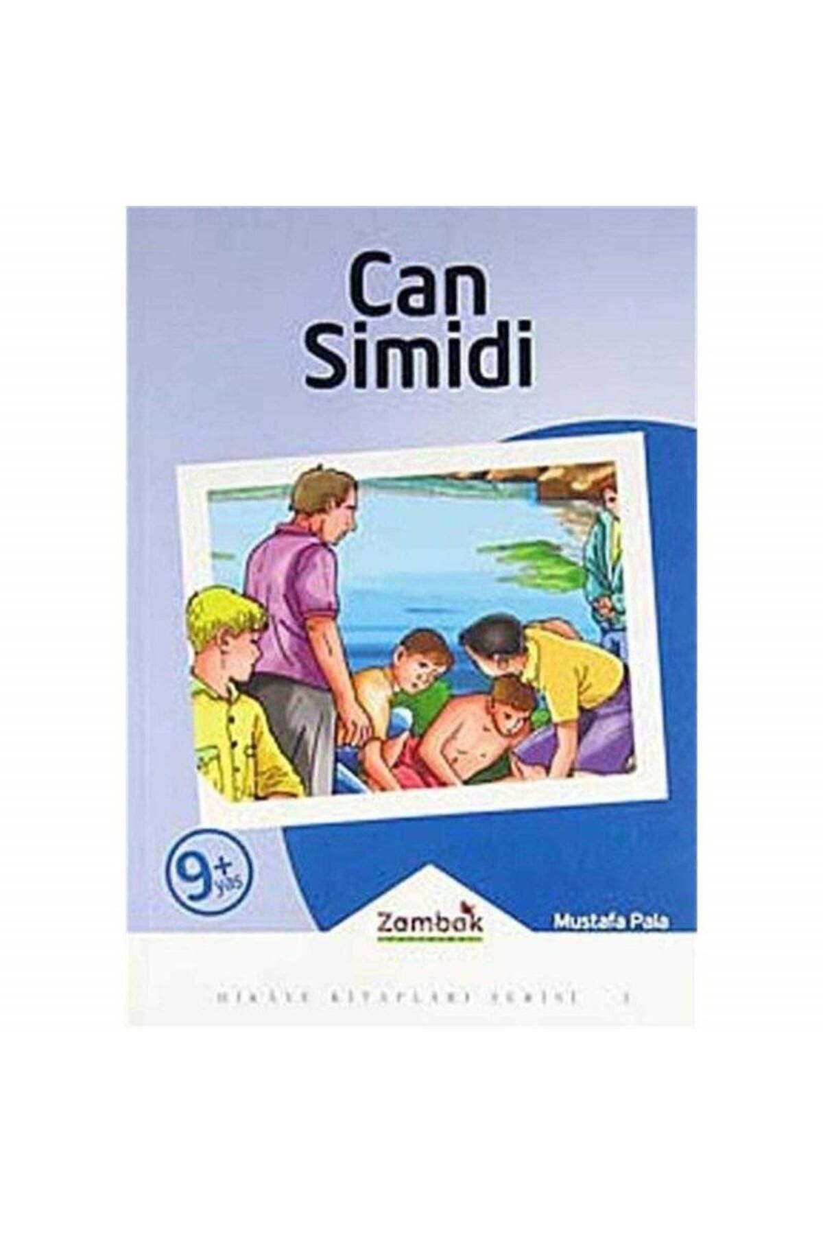 Türk Dil Kurumu Yayınları Can Simidi - Mustafa Pala