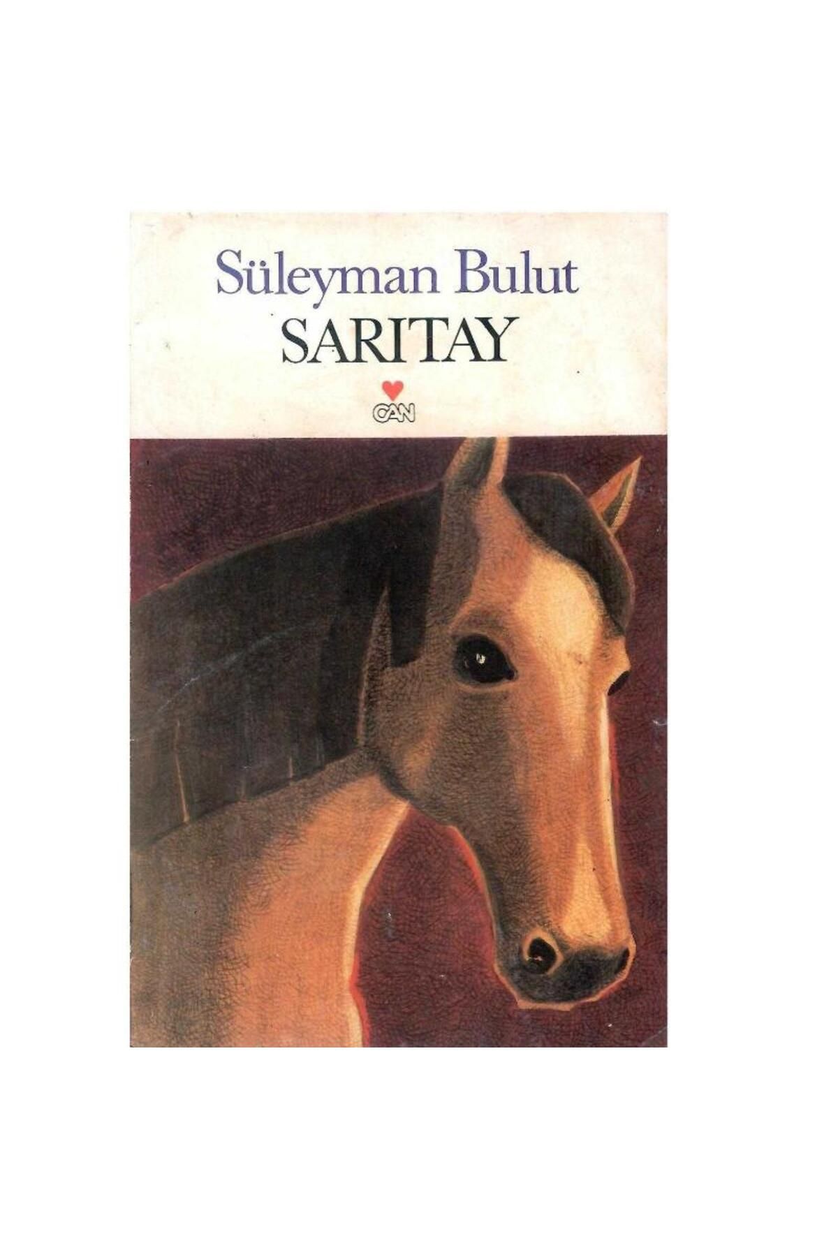 Türk Dil Kurumu Yayınları Sarıtay - Süleyman Bulut (1.Baskı)