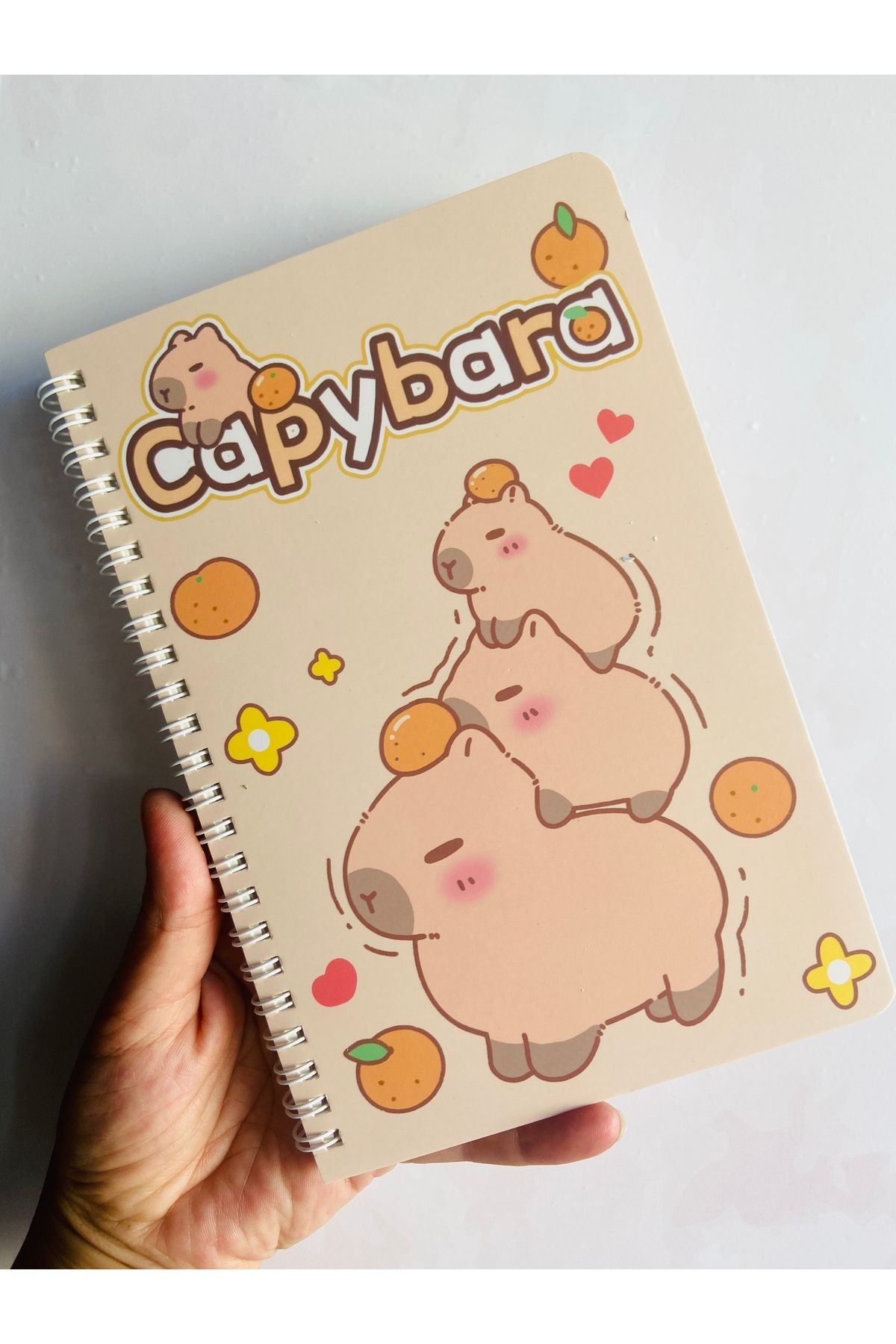 synshop Capybara Kapibara Figürlü Çizgili Spiralli Defter