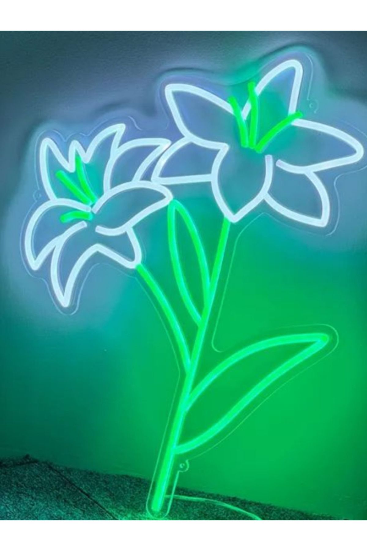 KAMER NEON LED IŞIKLI YAPRAK
