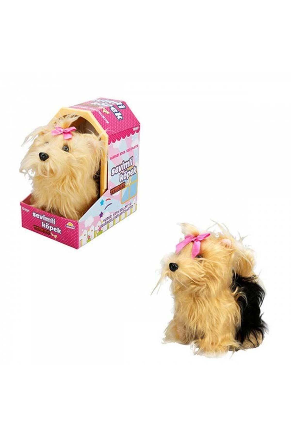 estevia Sunman Sevimli Köpek Terrier Yeni!!!