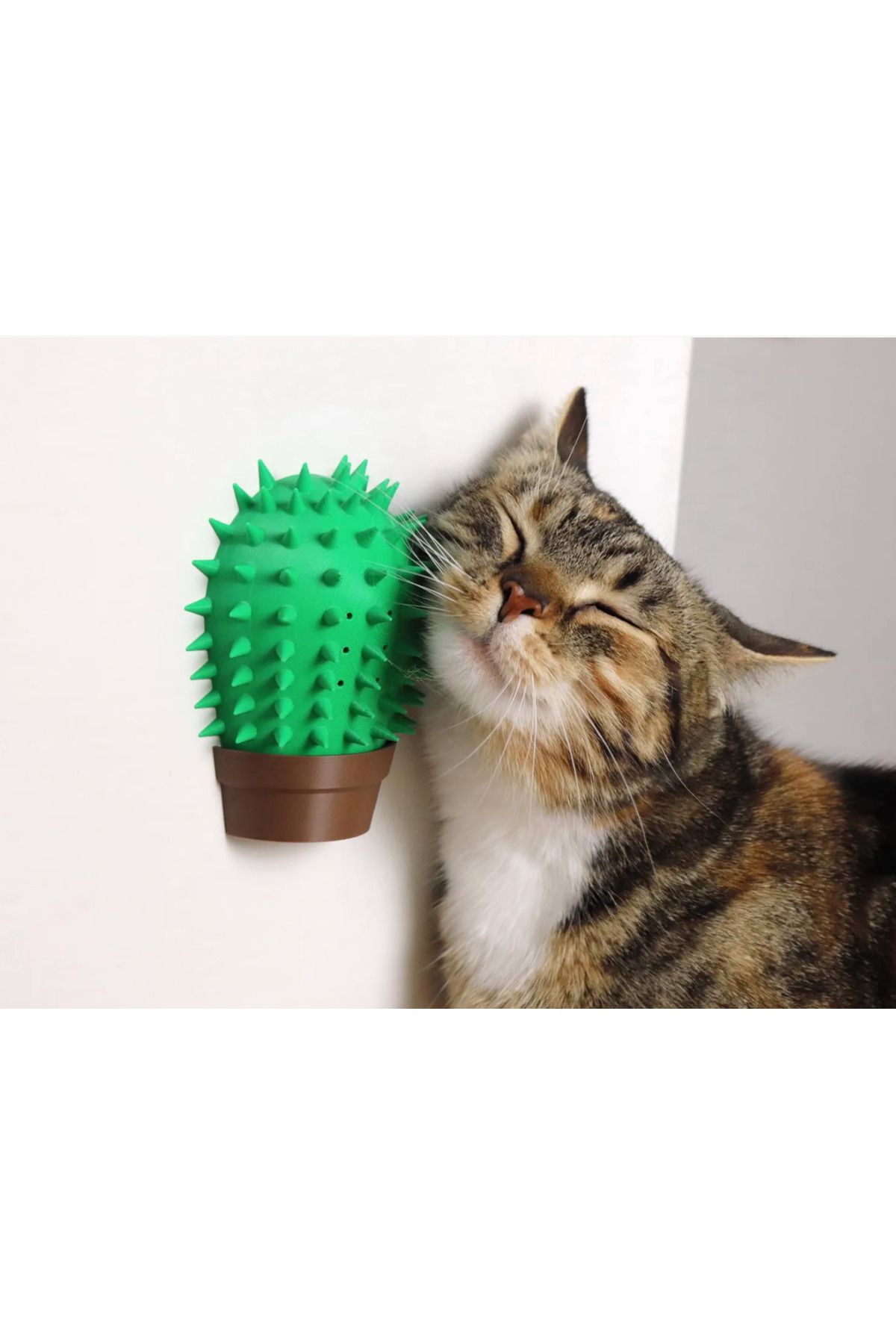The Great Wave Kaktüs Kedi Sürtünme, Kaşınma Oyuncağı (catnip hazneli, duvara sağlam monte)