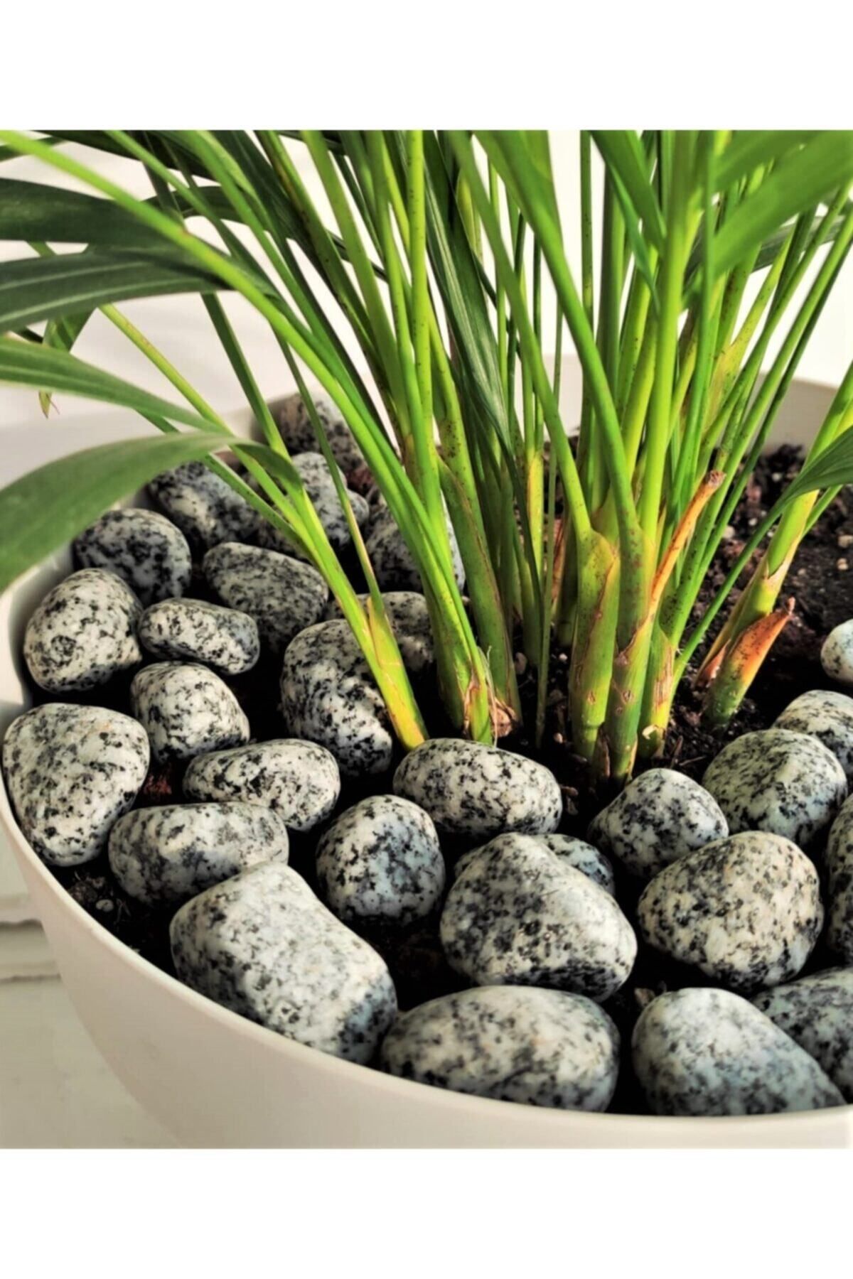 Saatistan Benekli Granit ve Dolomit Taşı 1 Kg, 2-4 Cm, Doğal ve Dayanıklı