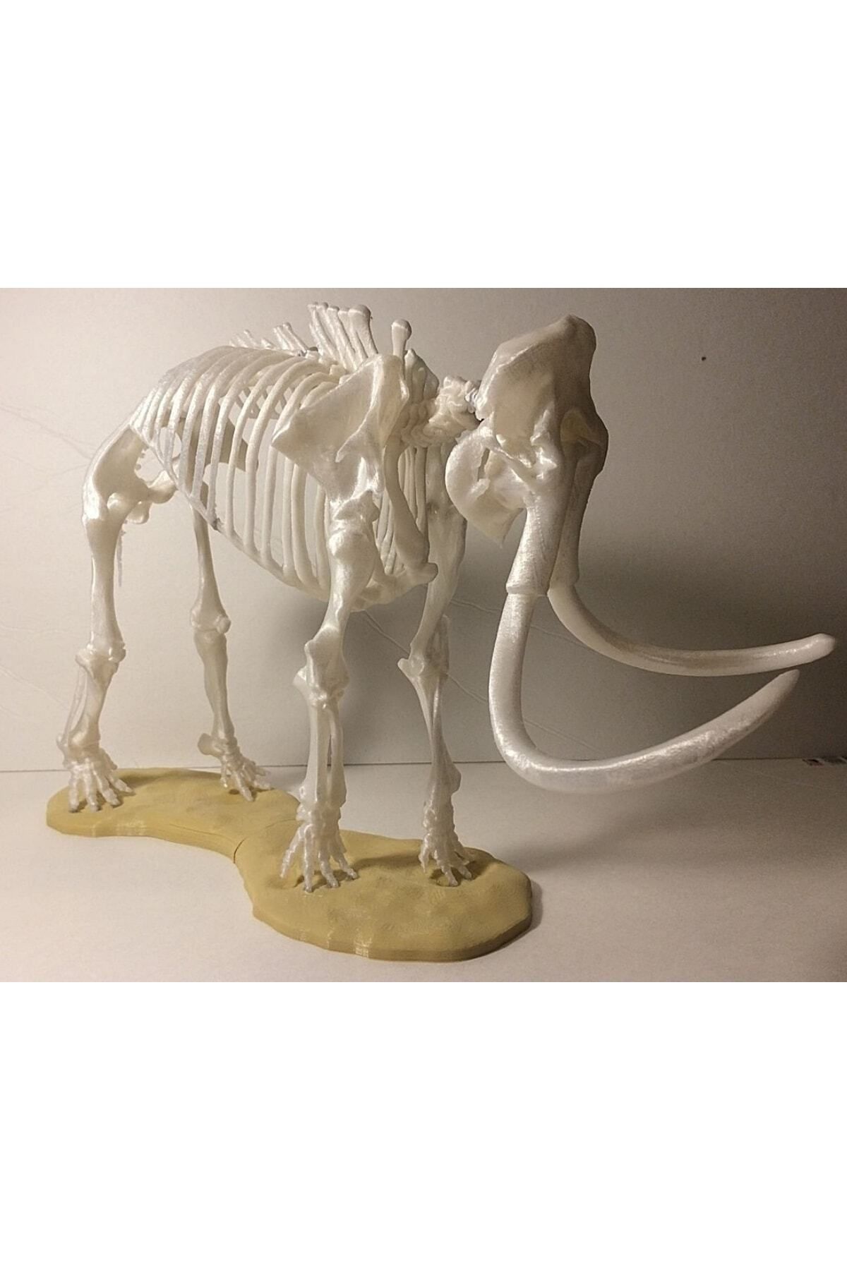 Saatistan Beyaz Mamut Iskeleti Heykel, 20 cm, dekoratif ve şık tasarım