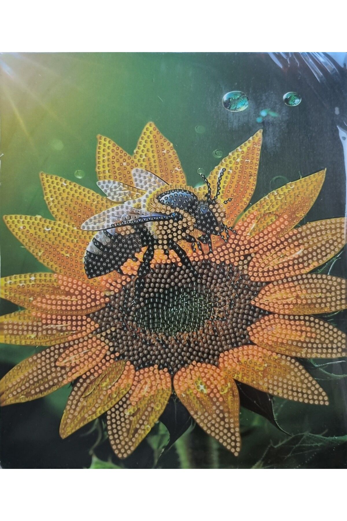 Hobiline Boncuklu Taşlı Mozaik Elmas Goblen Pano Tablo Resim Puzzle Çocuklar için 21x25 ÇİÇEK&ARI