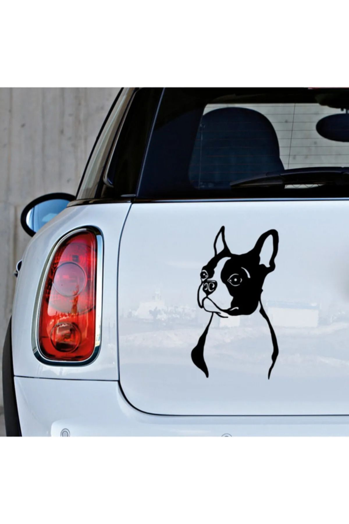 TSC Boston Terrier Cinsi köpek Sticker Yapıştırma Etiket 25cm Siyah