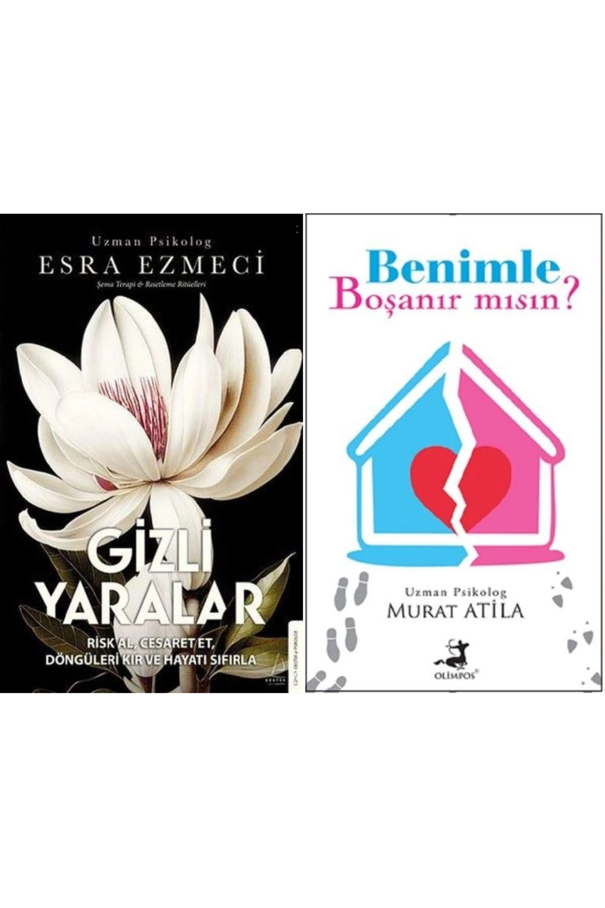 Destek Yayınları Gizli Yaralar + Benimle Boşanırmısın 2 Kitap Set