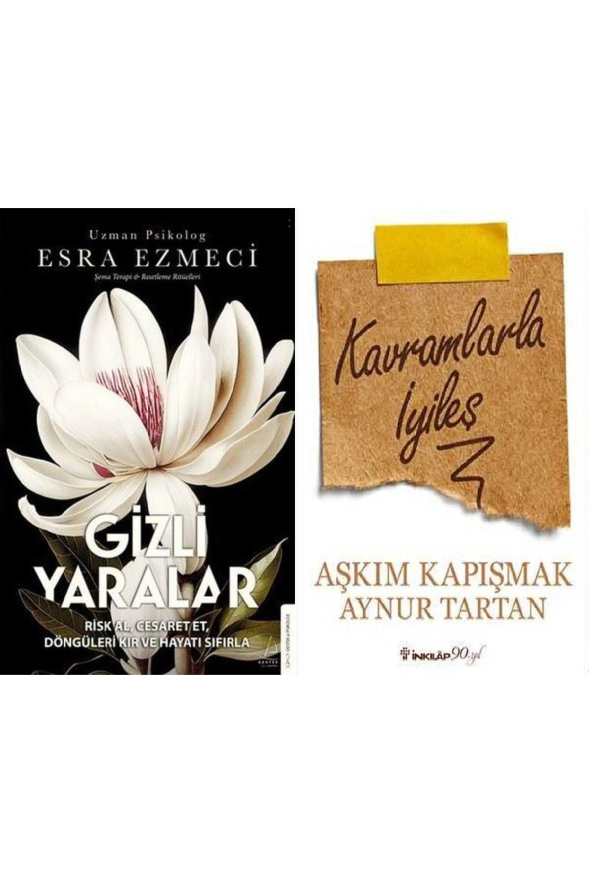 Destek Yayınları Gizli Yaralar + Kavramlarla İyileş 2 Kitap Set