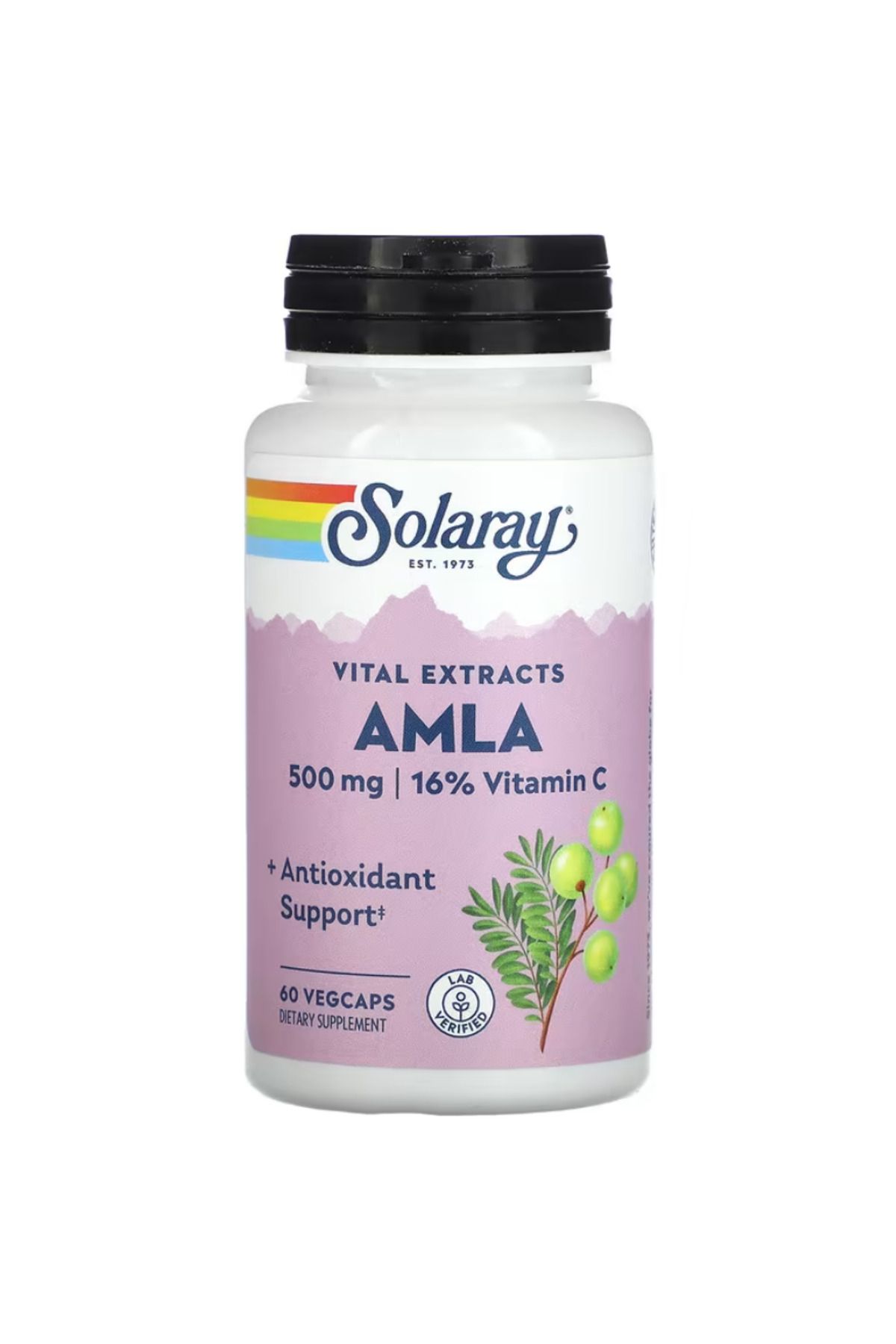 Solaray , Vital Extracts, AMLA, 500 mg, 60 VegCaps