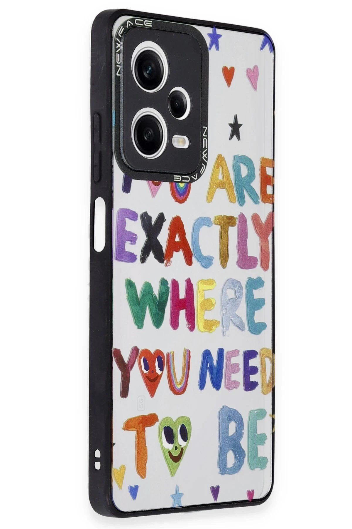 CepteToptan Newface Xiaomi Redmi Note 12 Pro 5G Kılıf Mirror Desenli Kapak - Mirror - 10
