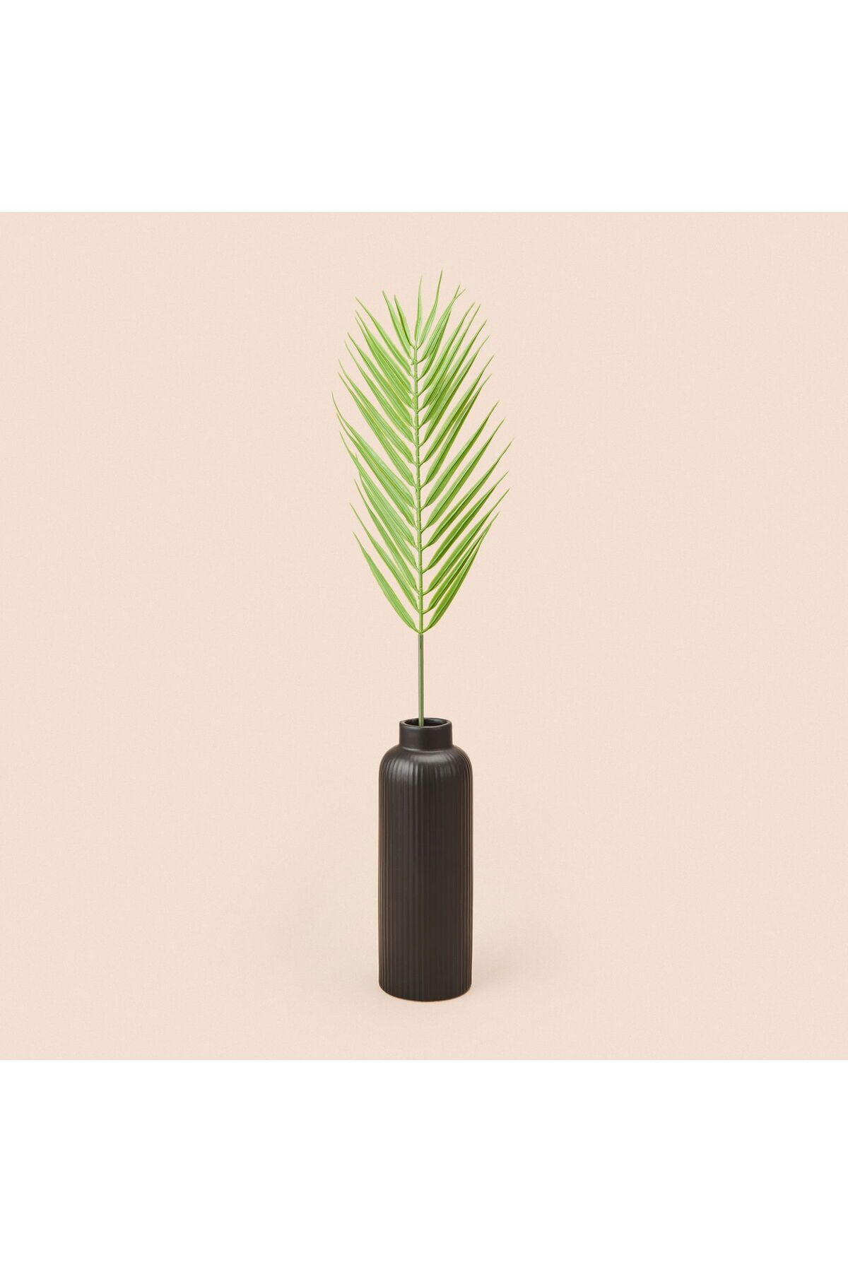 ASPARTAM Areka Dal Çiçek - Yeşil - 50 cm