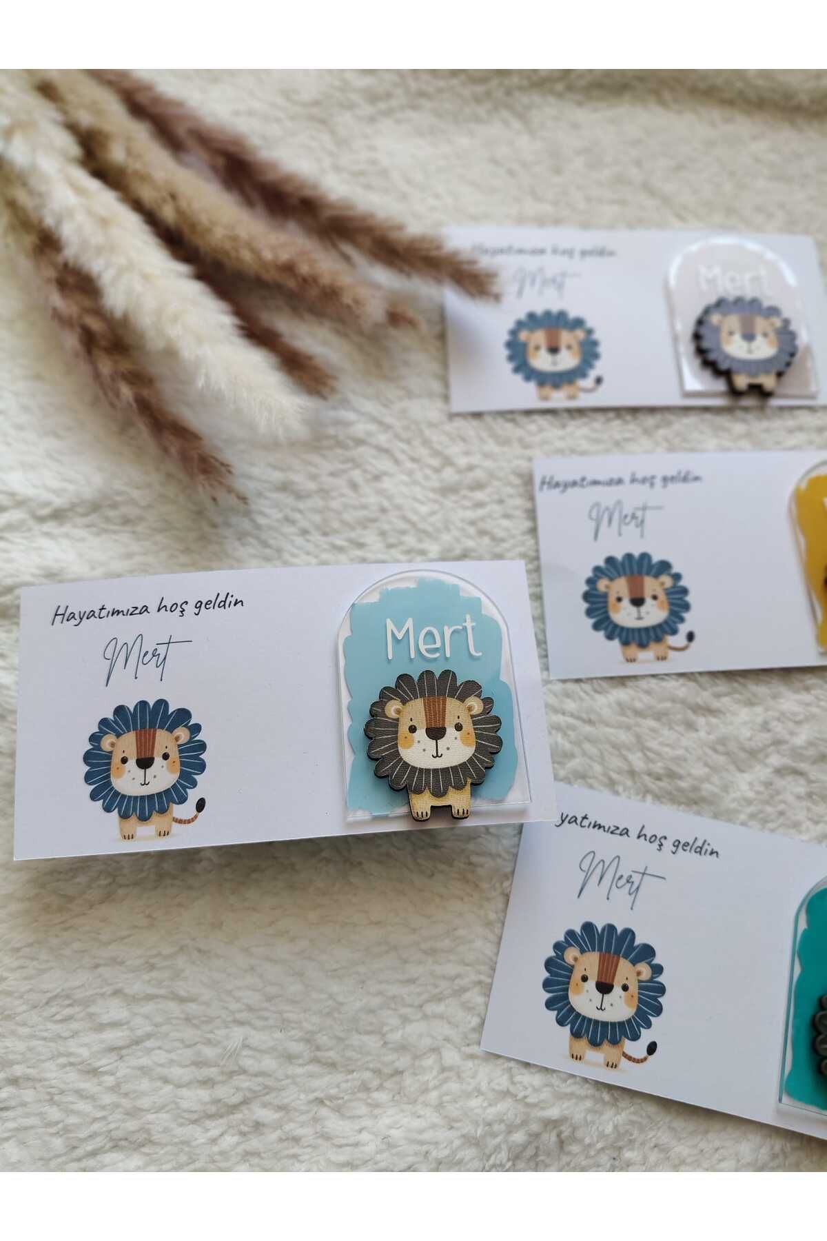 Han Art Craft Pleksi Magnet Bebek Hediyelik 10 Adet