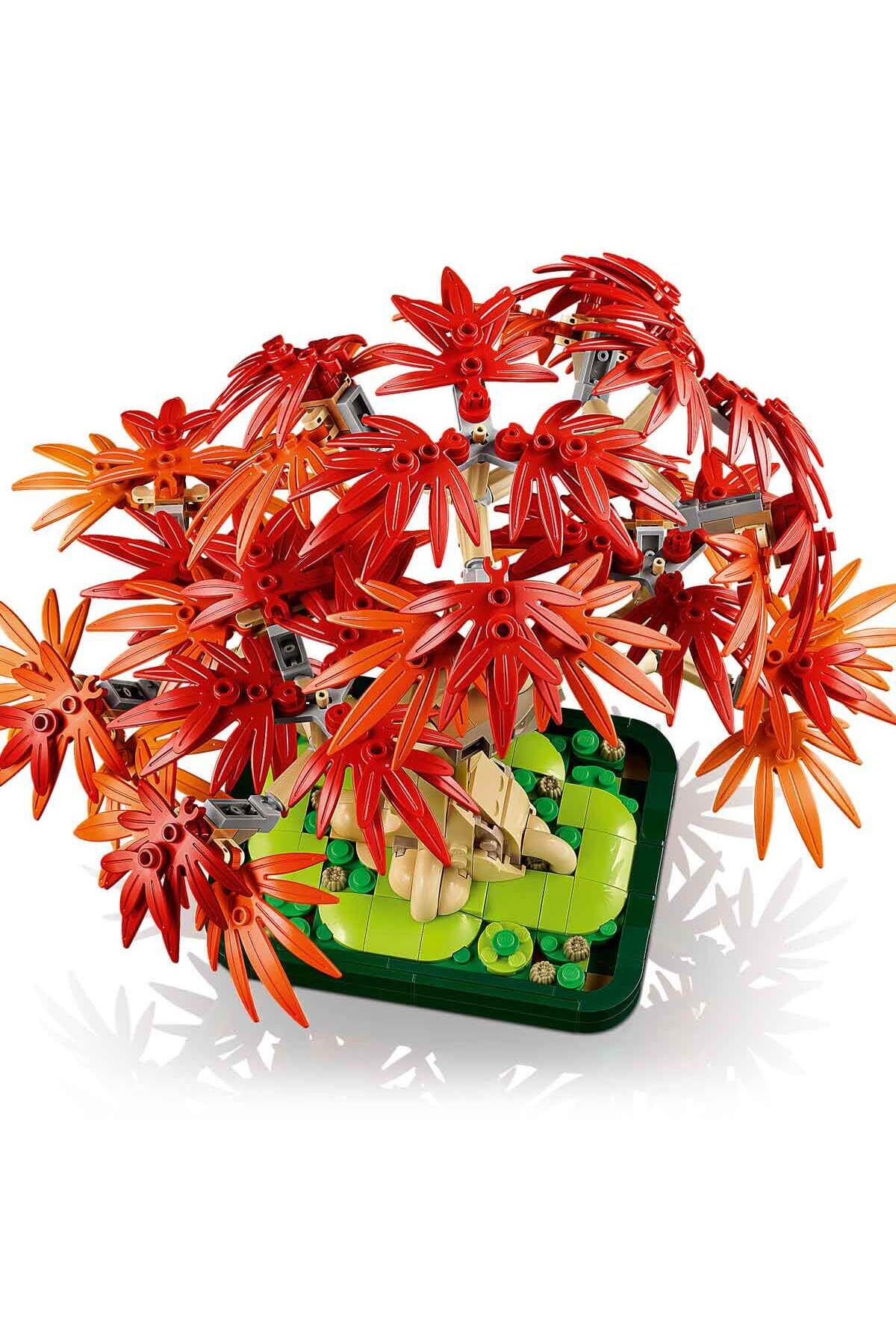 بوتانیکالز بونسای درخت افرا قرمز ژاپنی ۱۰۳۴۸ - مدل تزئینی برای بزرگسالان