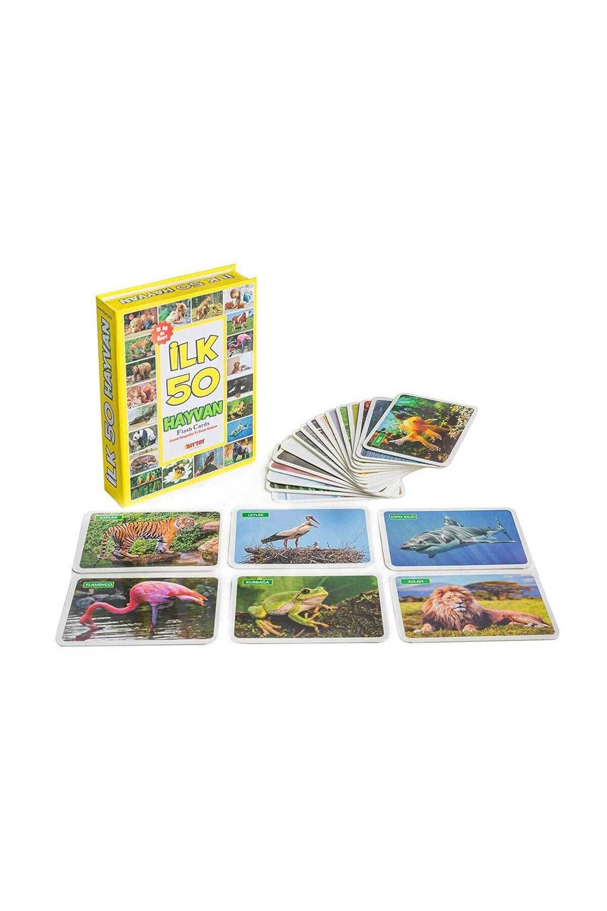scntoys Eğitici Hafıza Kartları İlk 50 Hayvan Kelime Zeka Kartları - Bebekler İçin Eğlenceli Aktivite Set